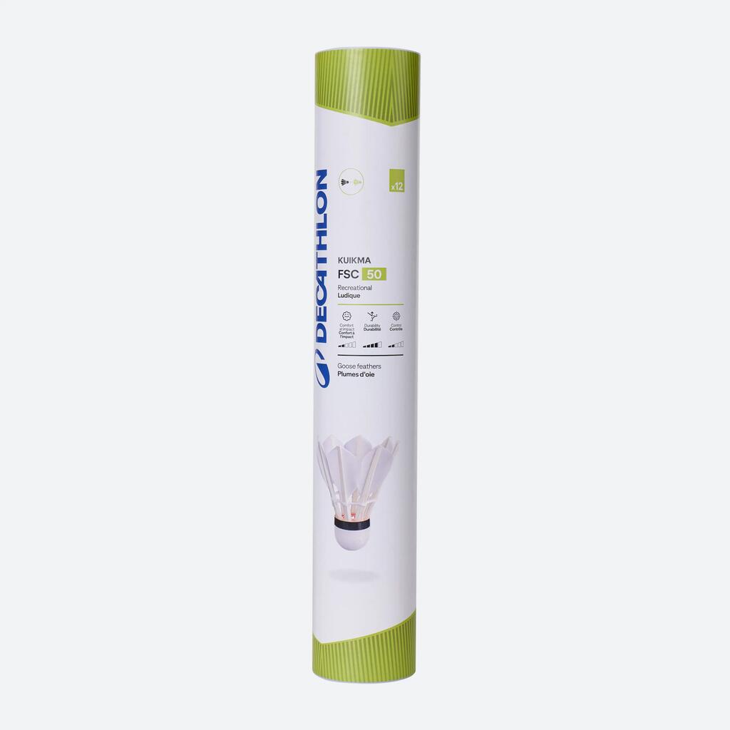 Plunksniukai „FSC 50”, 12 vienetų