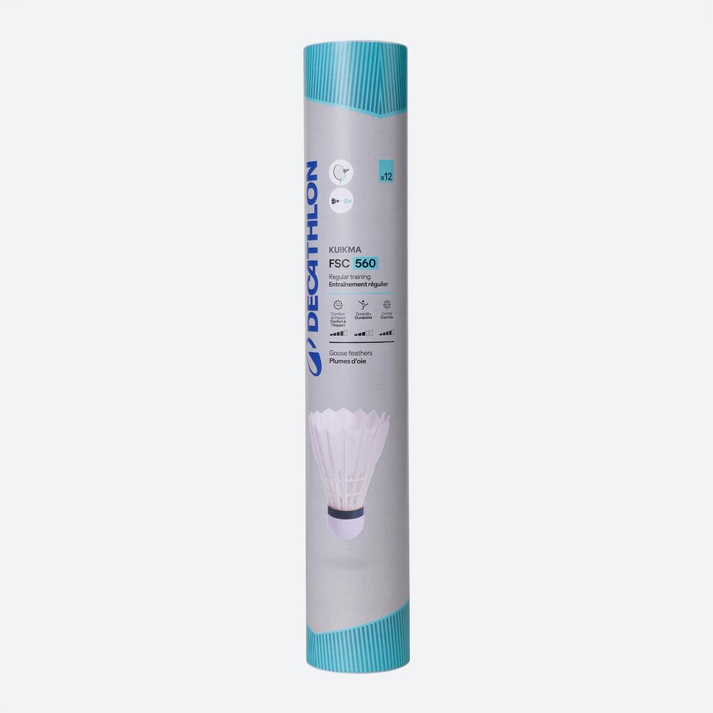 PLUNKSNIUKAI „FSC 560 SPEED“ (78 x 12)