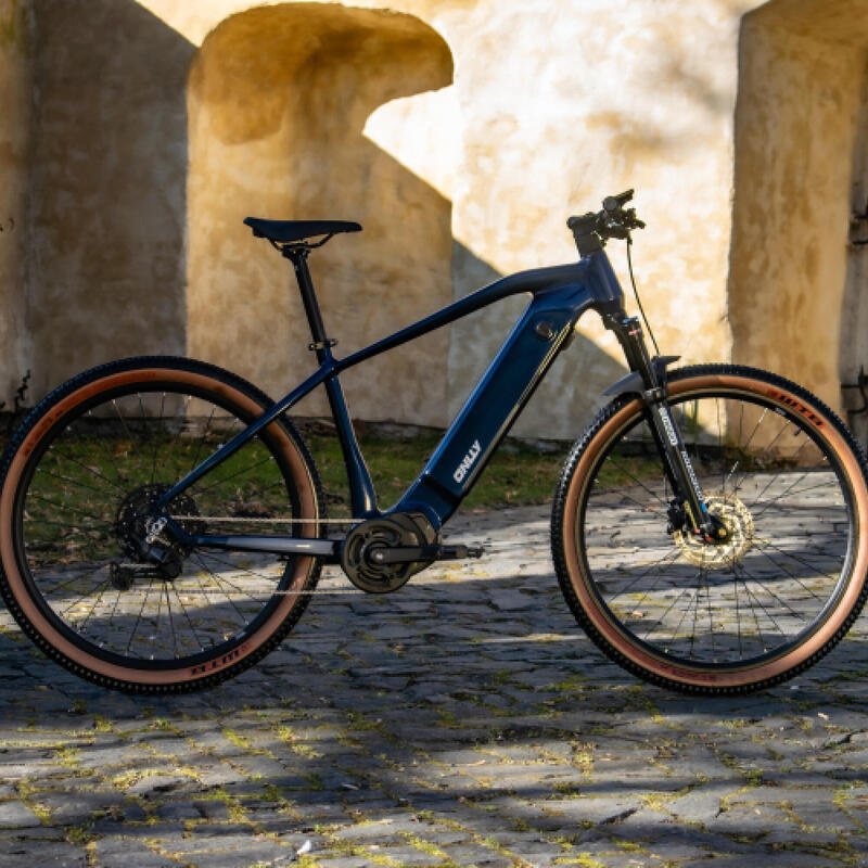 Horské elektrokolo 29" ONLLY ePlus 900