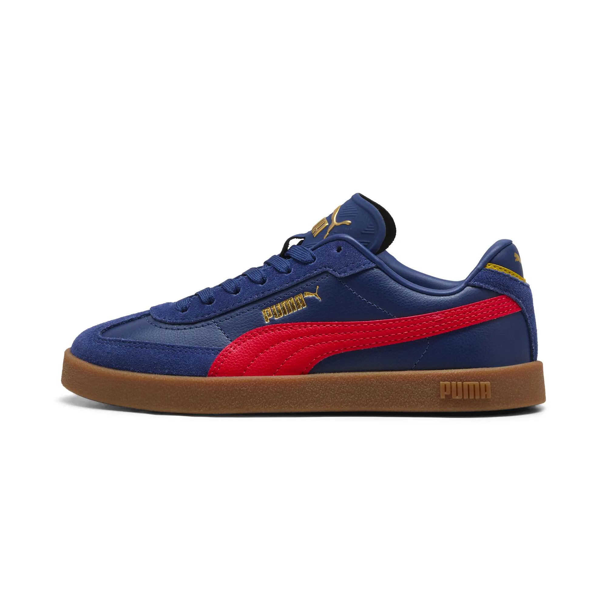 PUMA picture