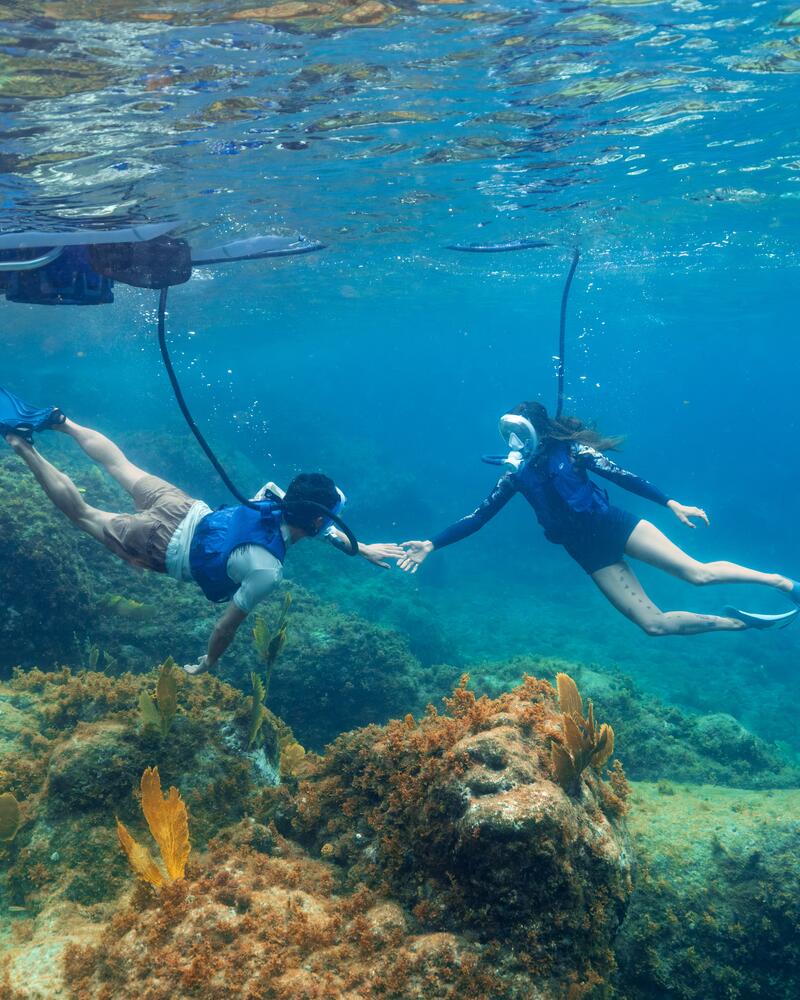 Où plonger avec l'easybreath Dive ?