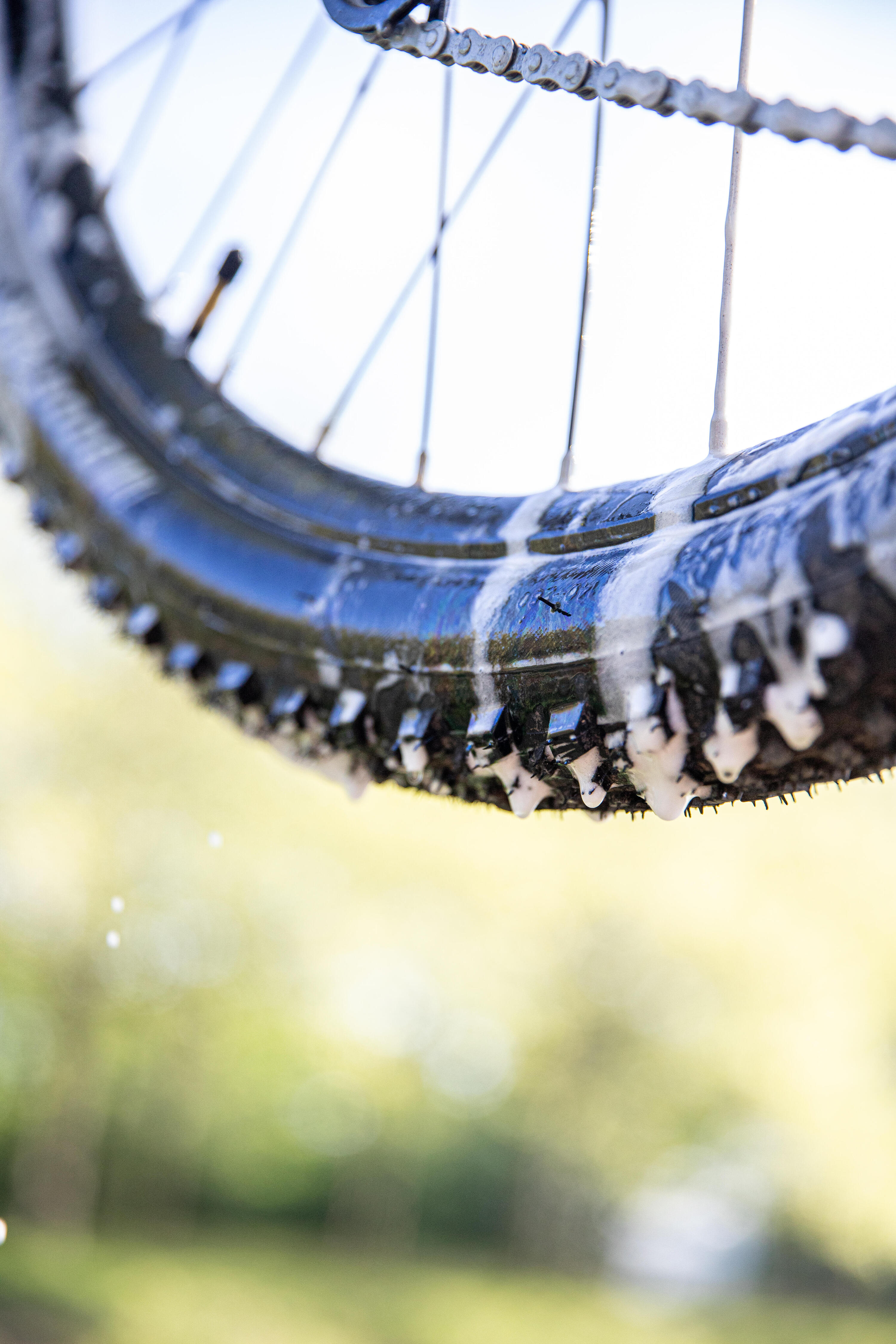 Bike Cleaner 1 L (1 qt) 13/13