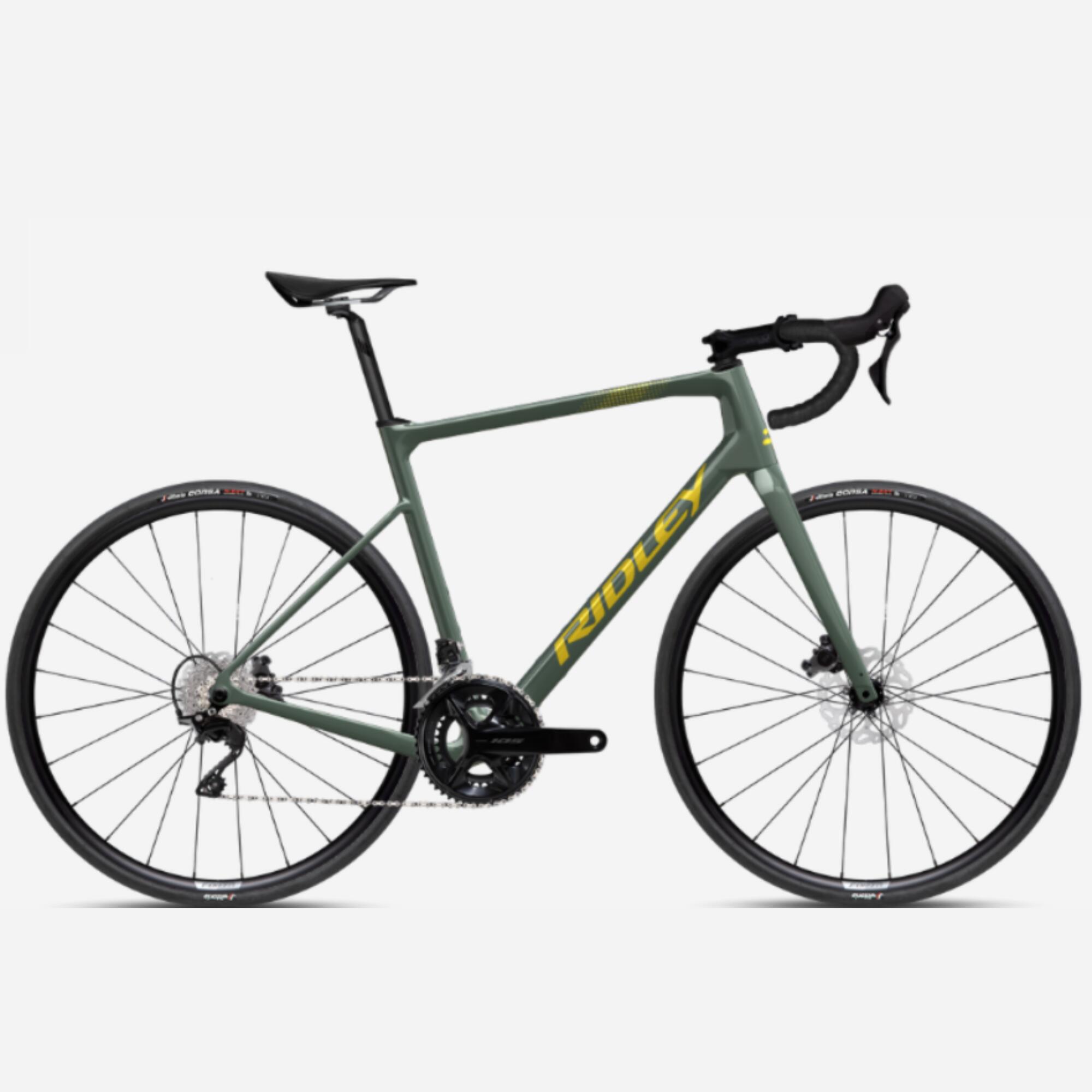 RIDLEY picture