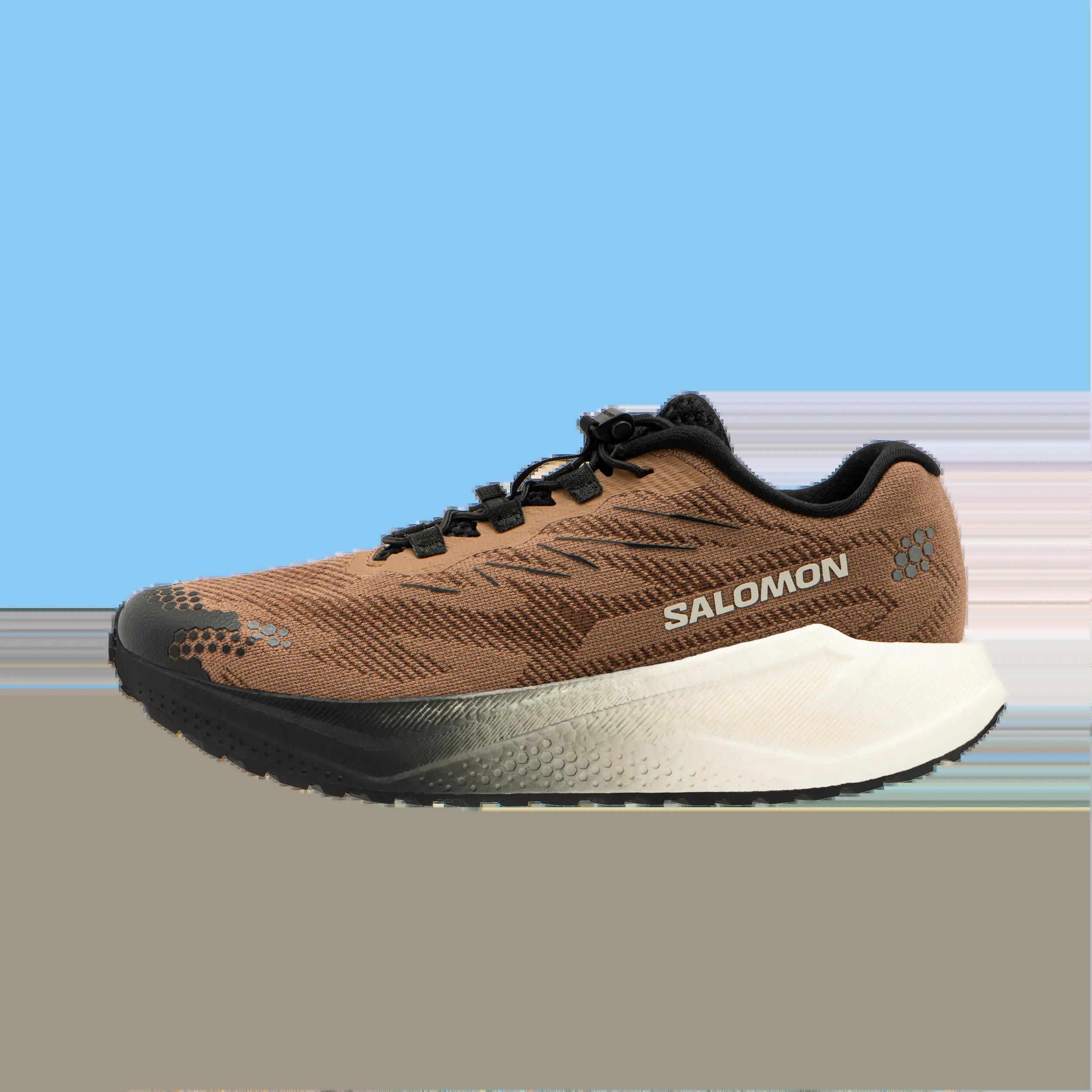 SALOMON picture