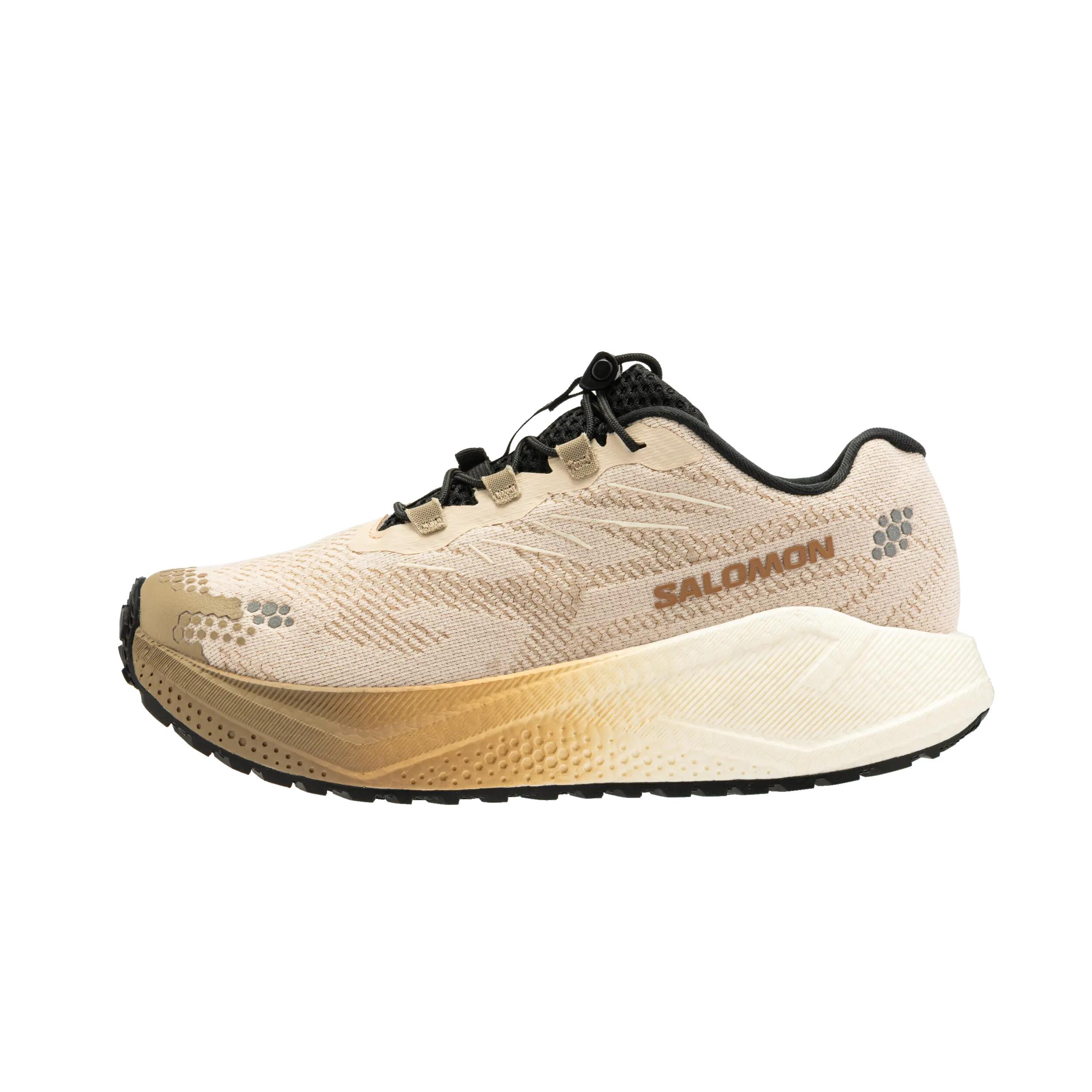 SALOMON picture
