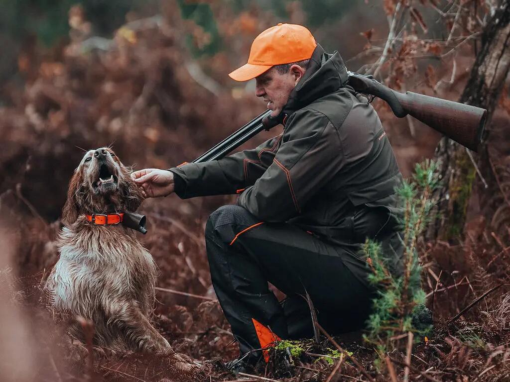 Un bécassier au milieu d'un roncier pour traquer la belles de bois