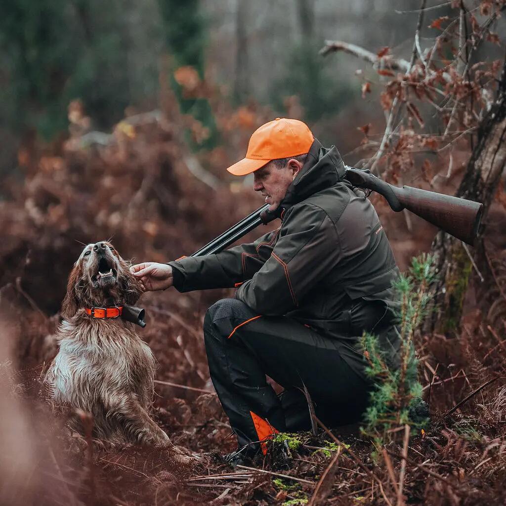 Un chasseur de bécasse avec son chien au milieu de la forêt