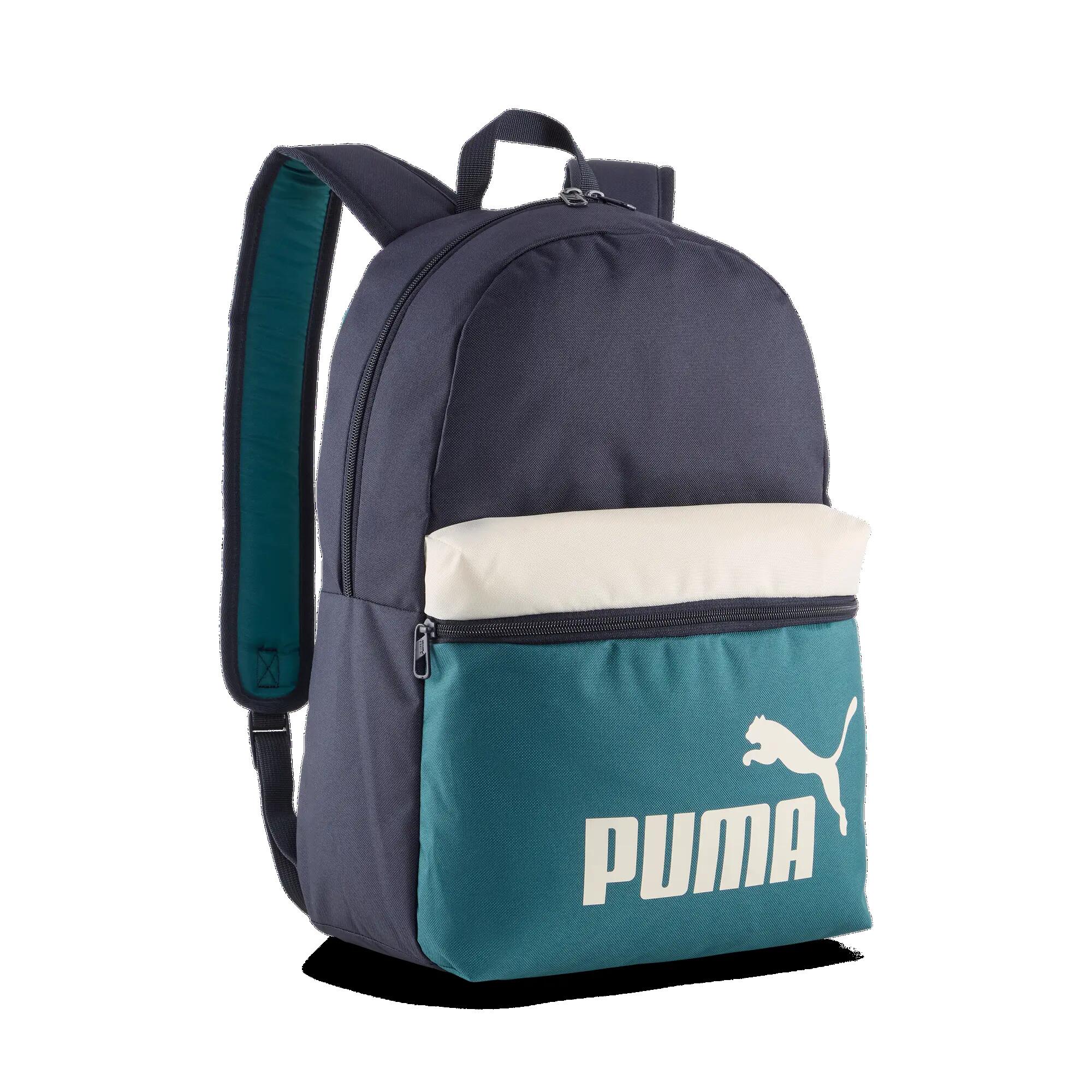 PUMA picture