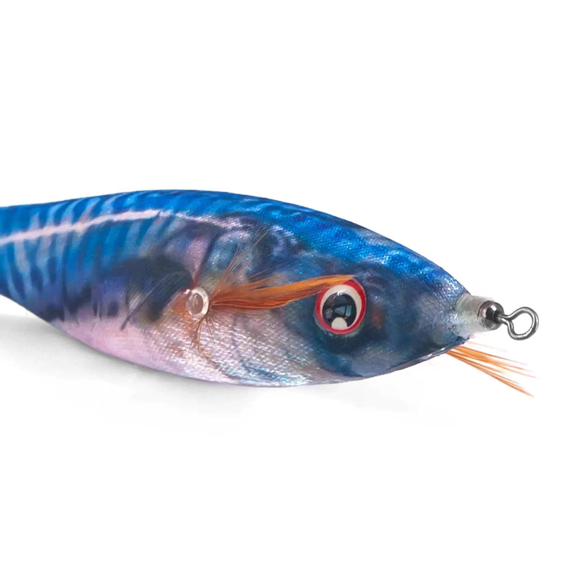 Totanara pesca in mare eging seppie calamari Jatsui BULLET NATURAL col. NSGO 4/4