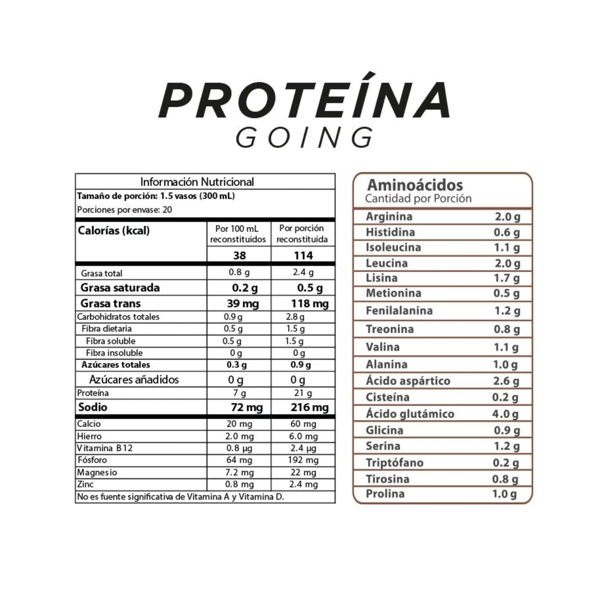 Bolsa de proteína vegana	de 600gr con 60gr de proteína sabor a chocolate Going 2/3