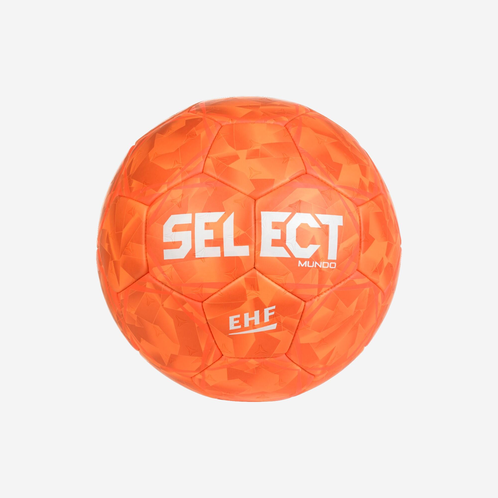 SELECT picture