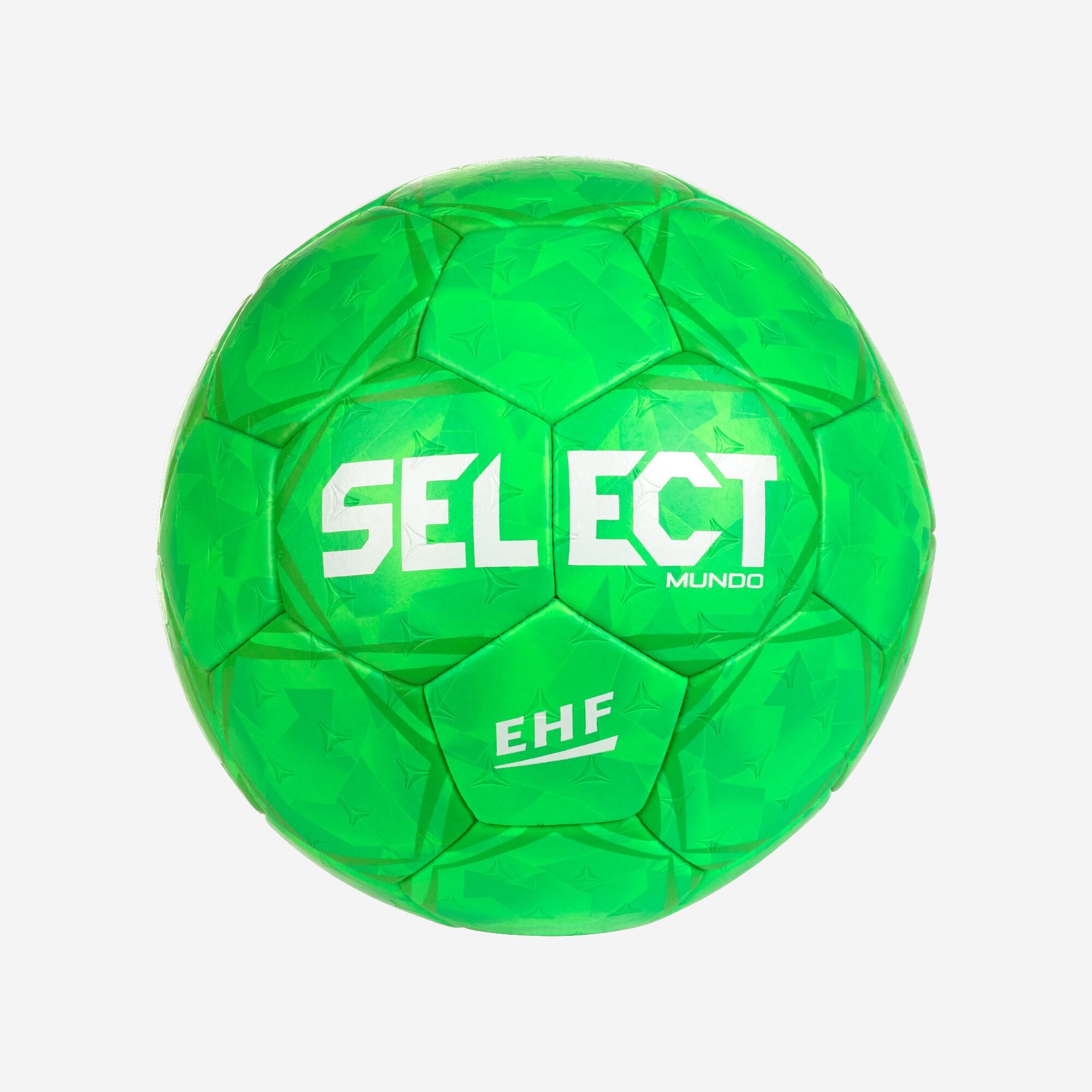 SELECT picture