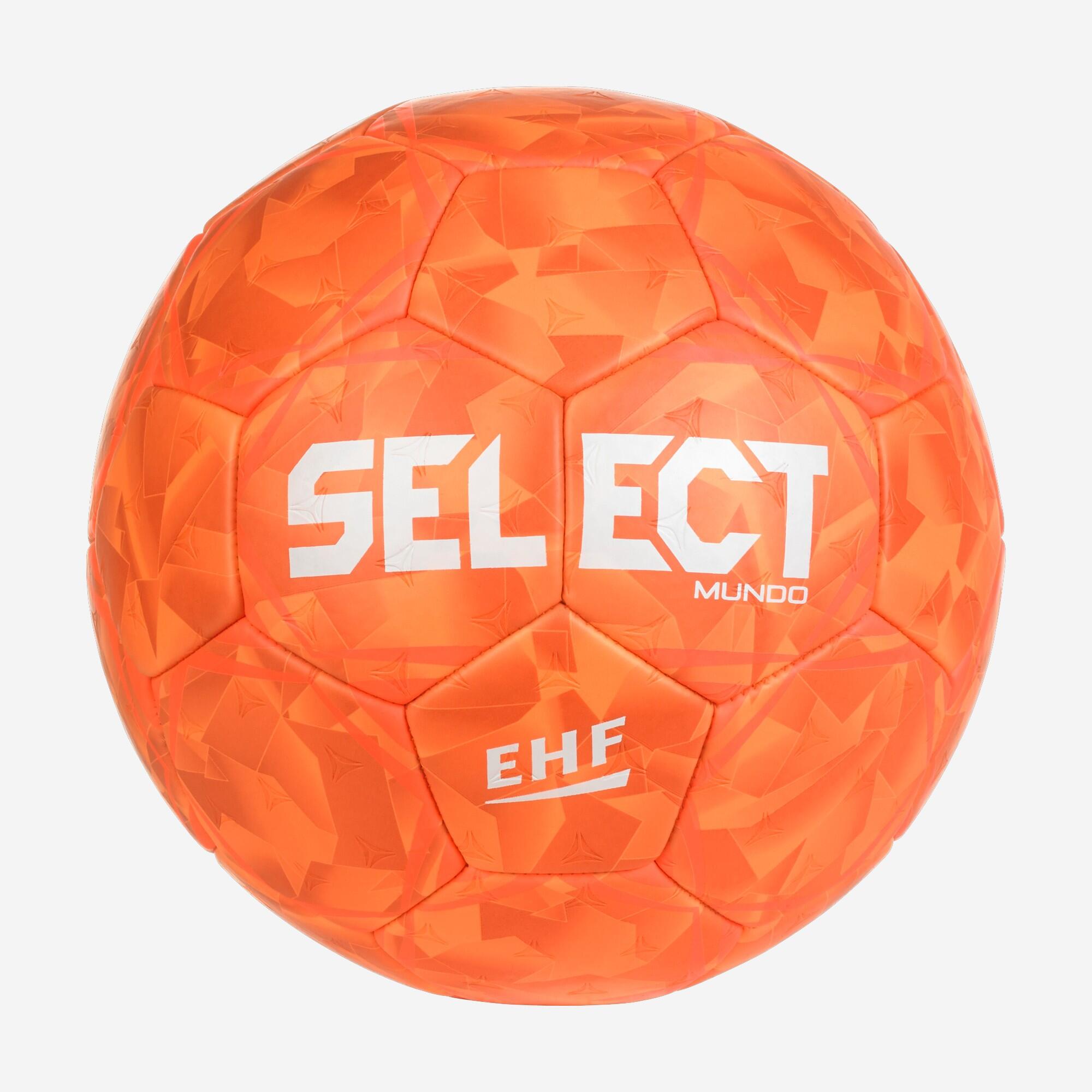SELECT picture