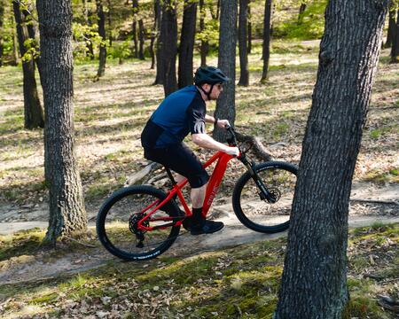 Mountain bike