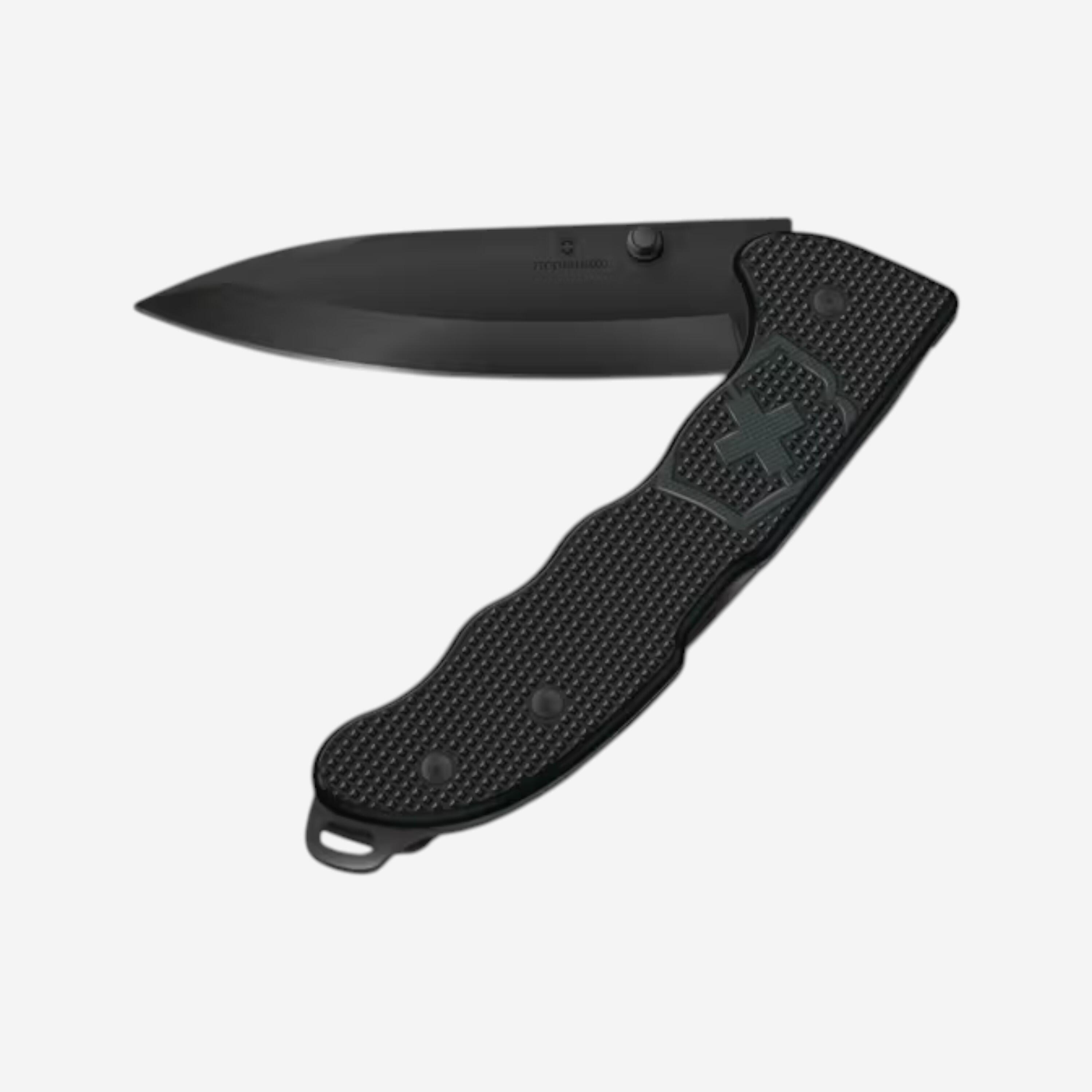 VICTORINOX picture