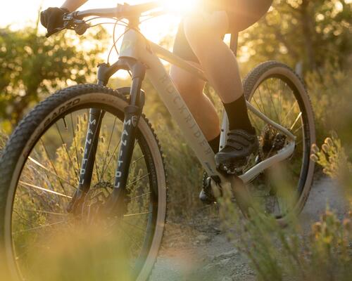 Che telaio MTB scegliere: ALLUMINIO o CARBONIO?