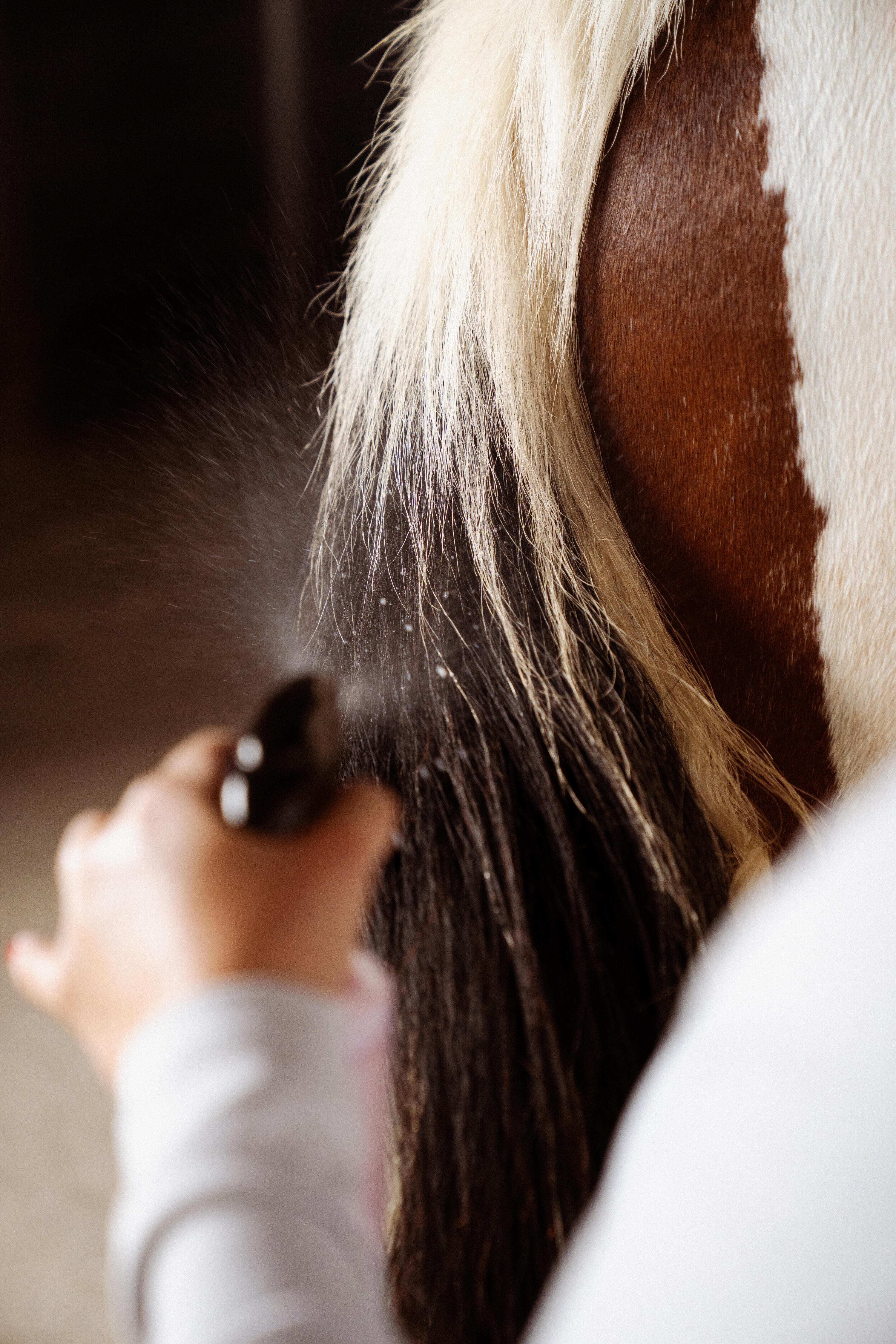 Desenredante Equitación Caballo/Poni Larga Duración 500 ml 3/4