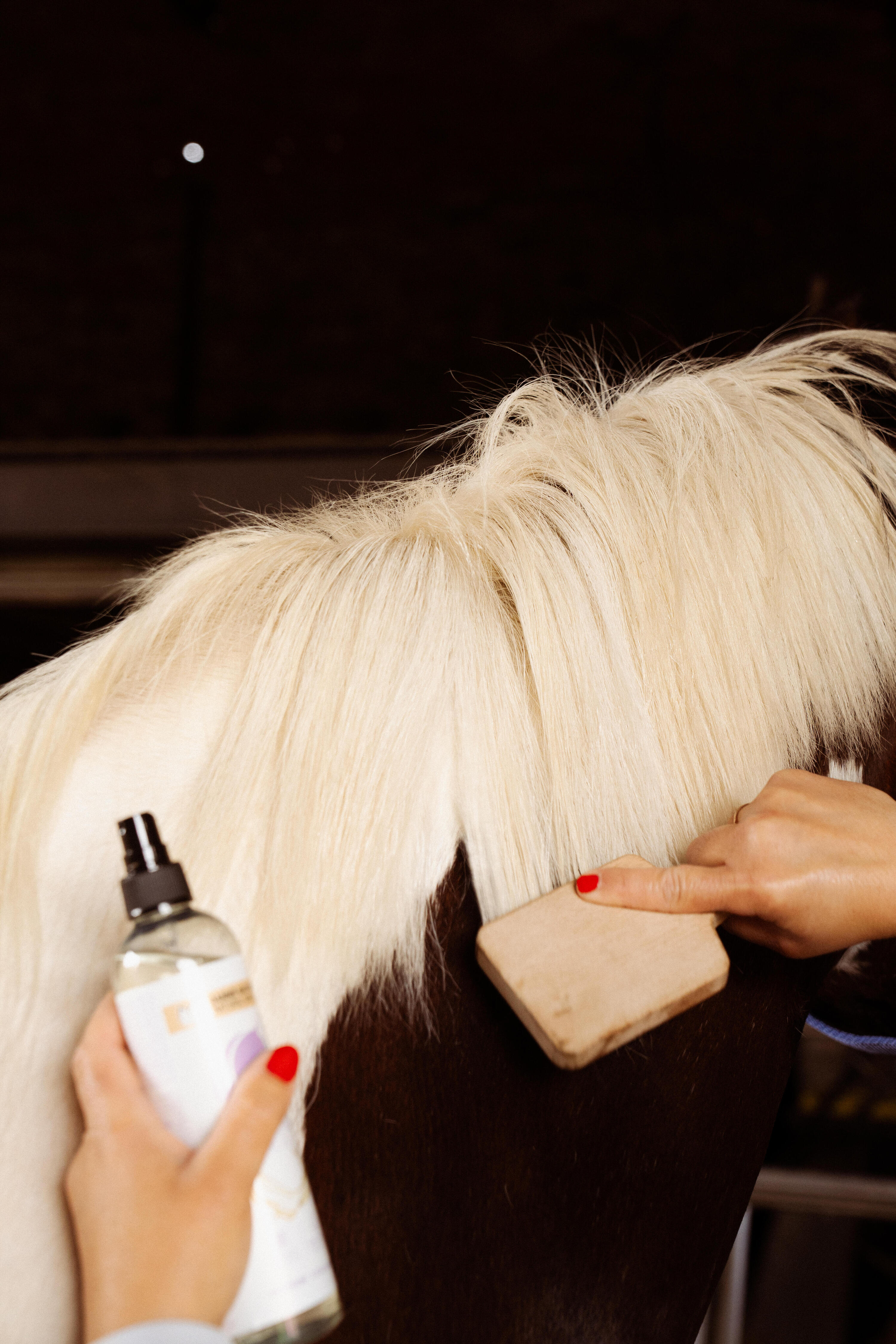 HUILE DE SOIN DEMELANTE CHEVAL NATURELLE - 300 ML 5/5