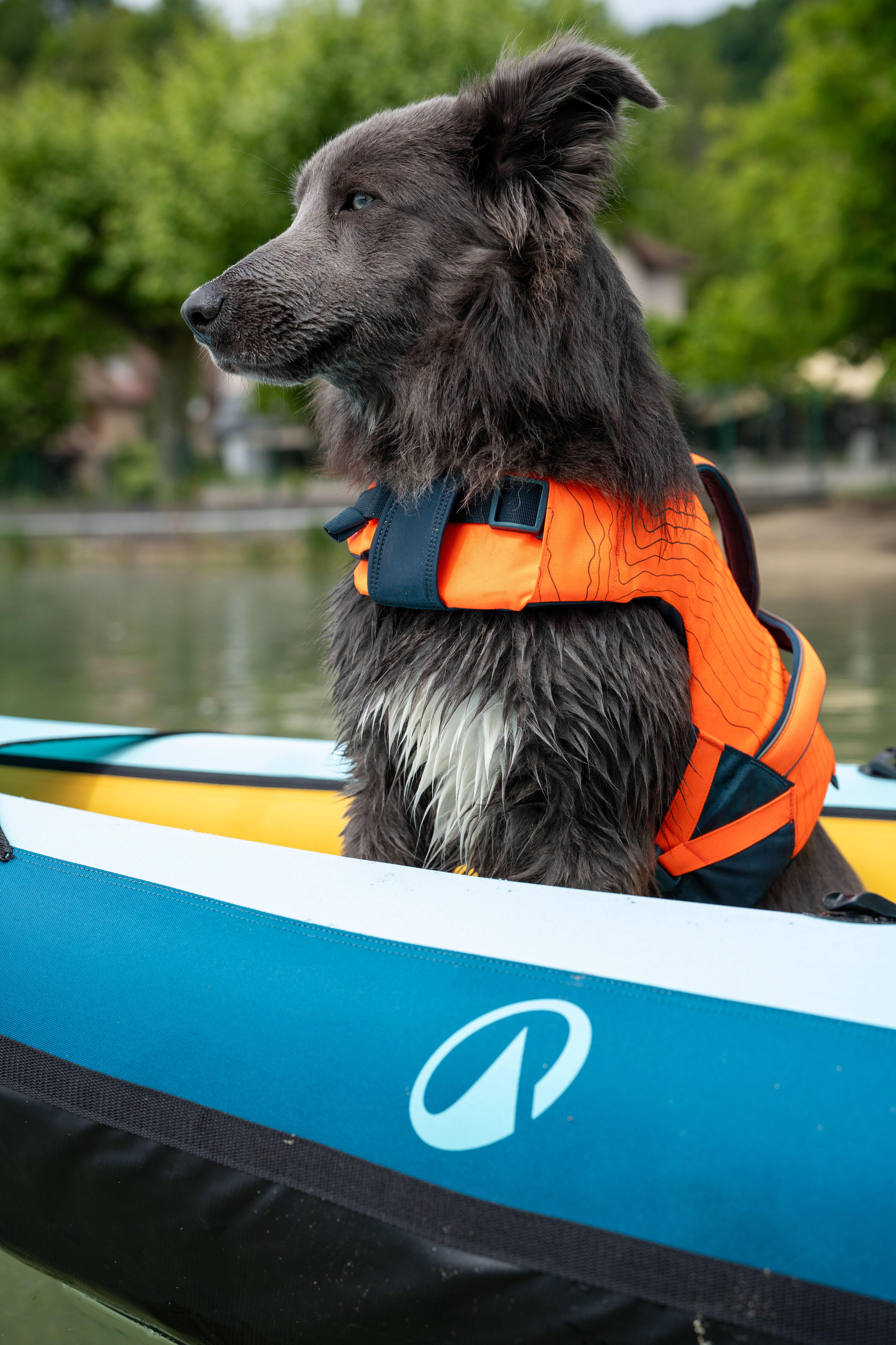 Dog Life Vest  13/18