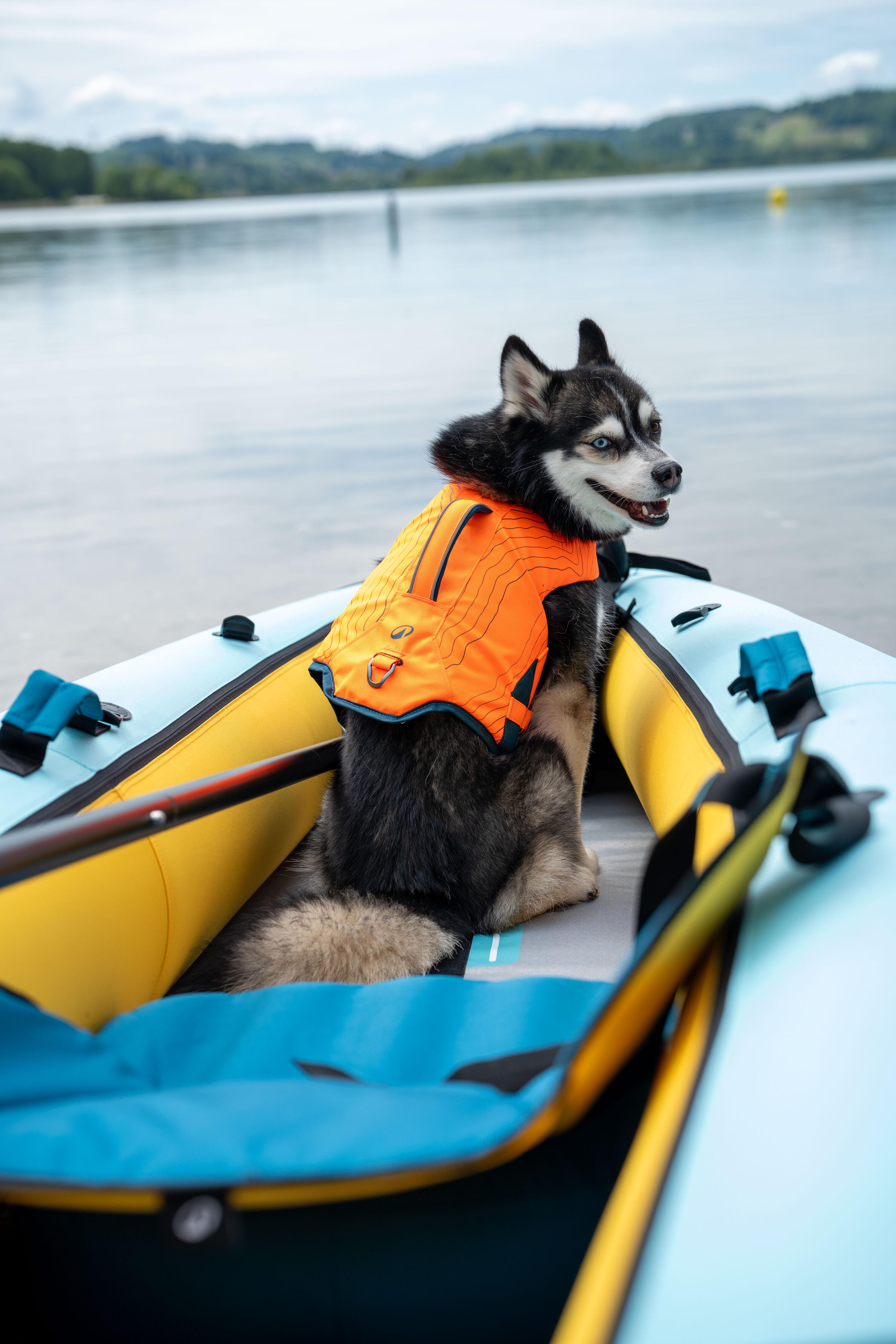 Dog Life Vest  18/18