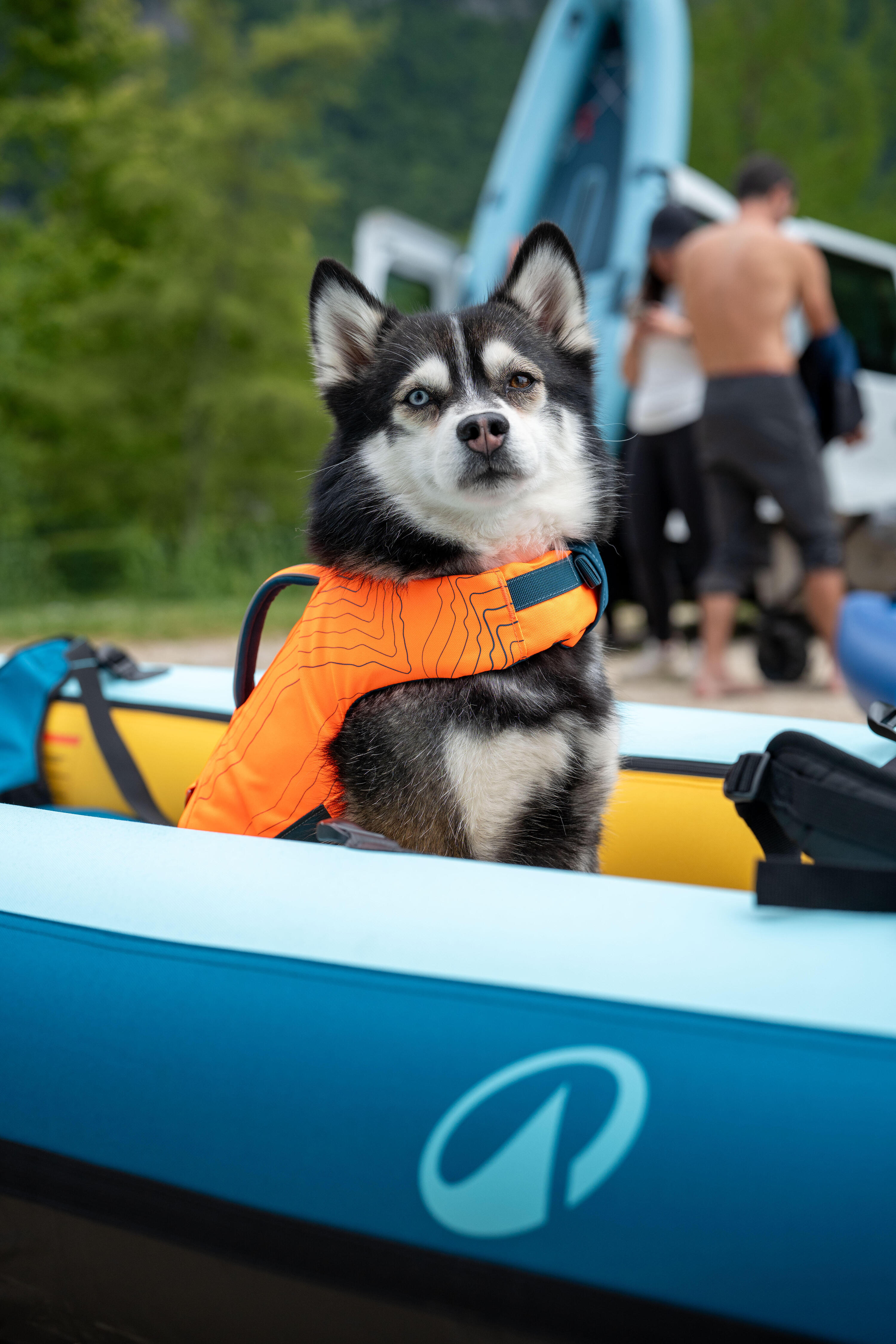 Dog Life Vest  16/18