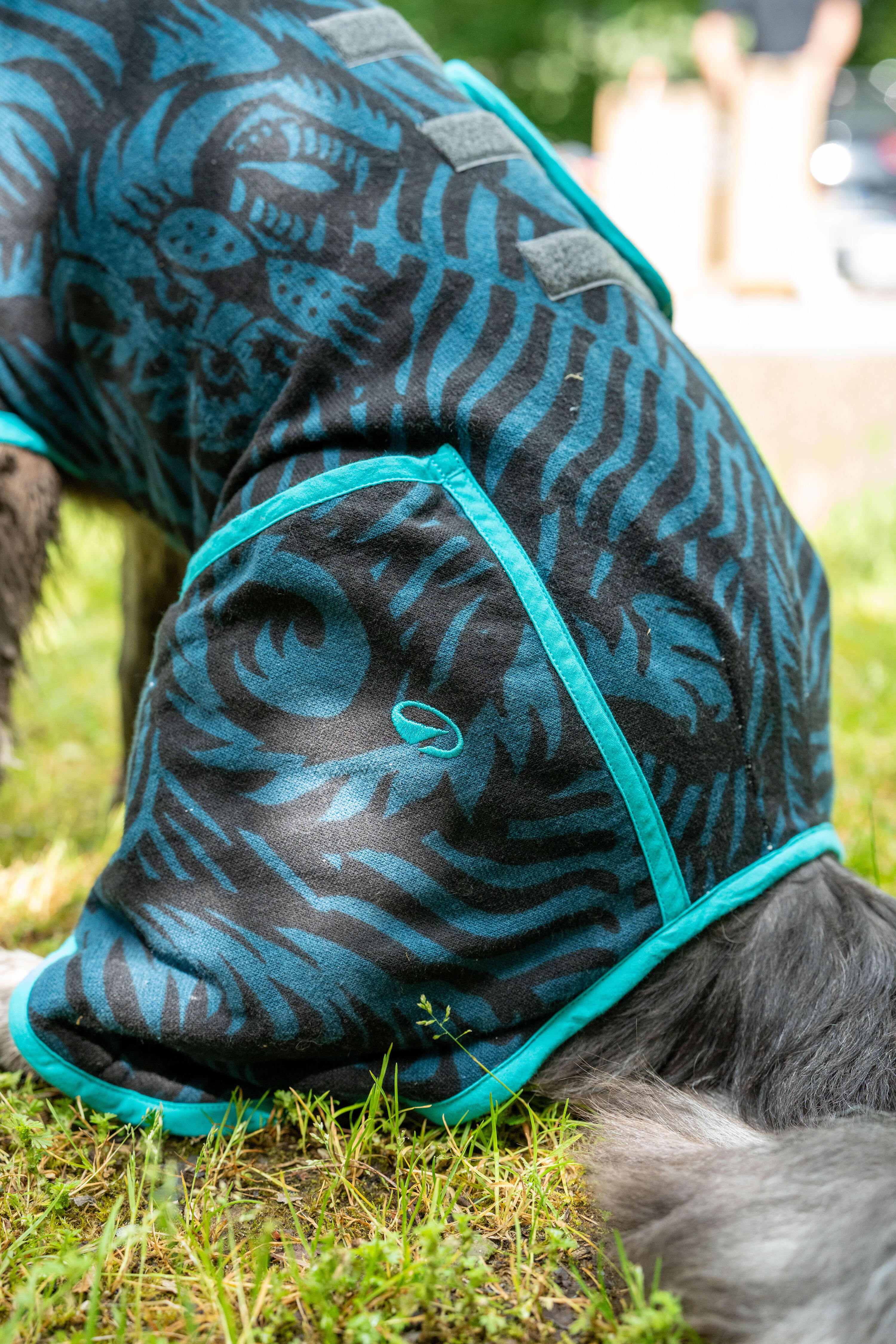 DOG TOWEL ROBE - BLACK WITH BLUE PATTERNS 9/9