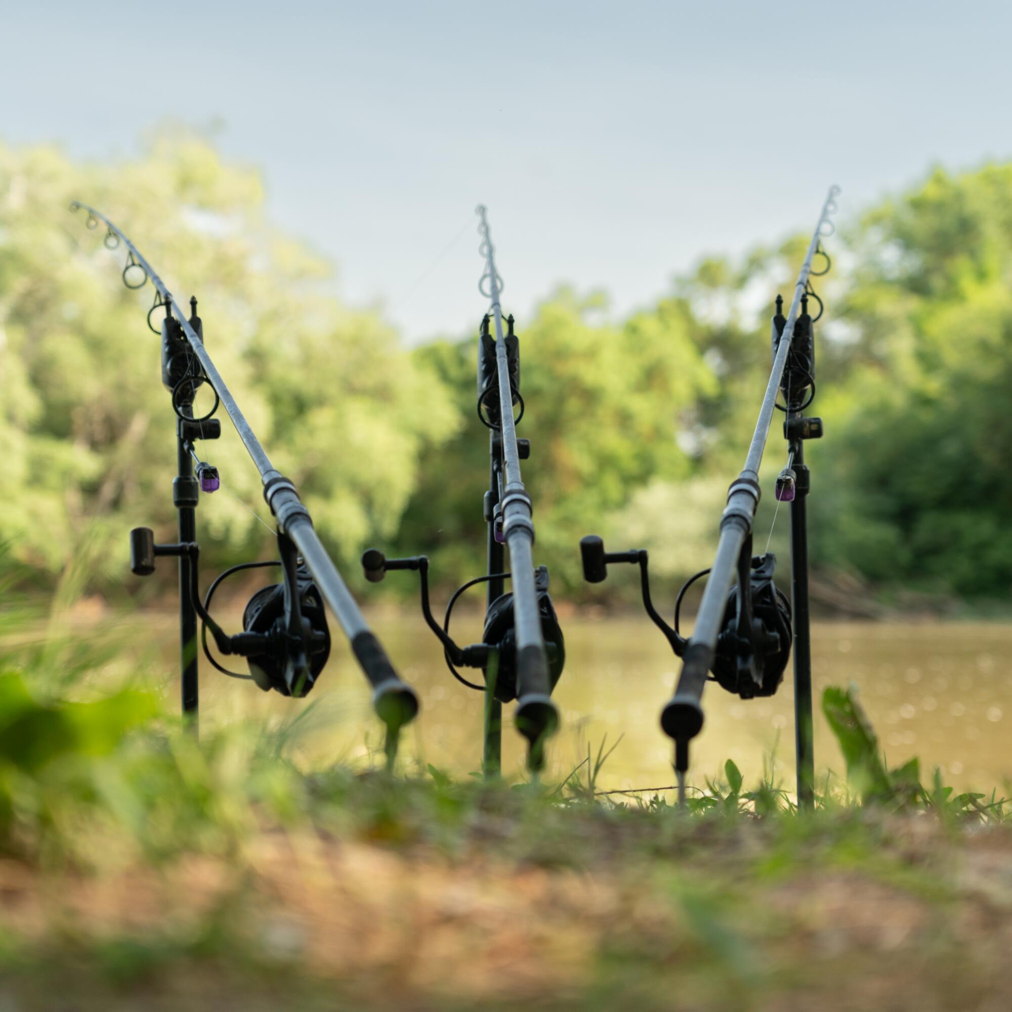 Canna pesca carpfishing Nash Scope Abbreviated CG nero 9ft 3.5lb retrattile 11/13