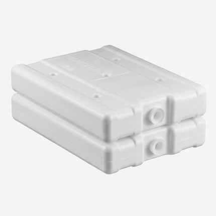 Lot de 2 pains de glace pour glacière, 740 grammes