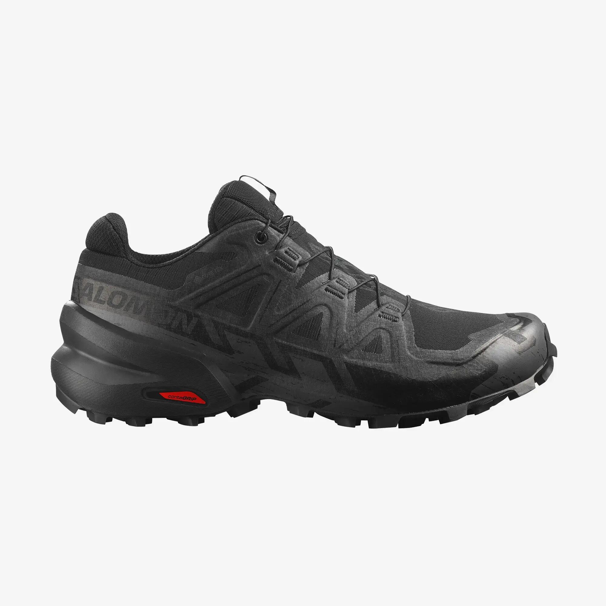 SALOMON picture