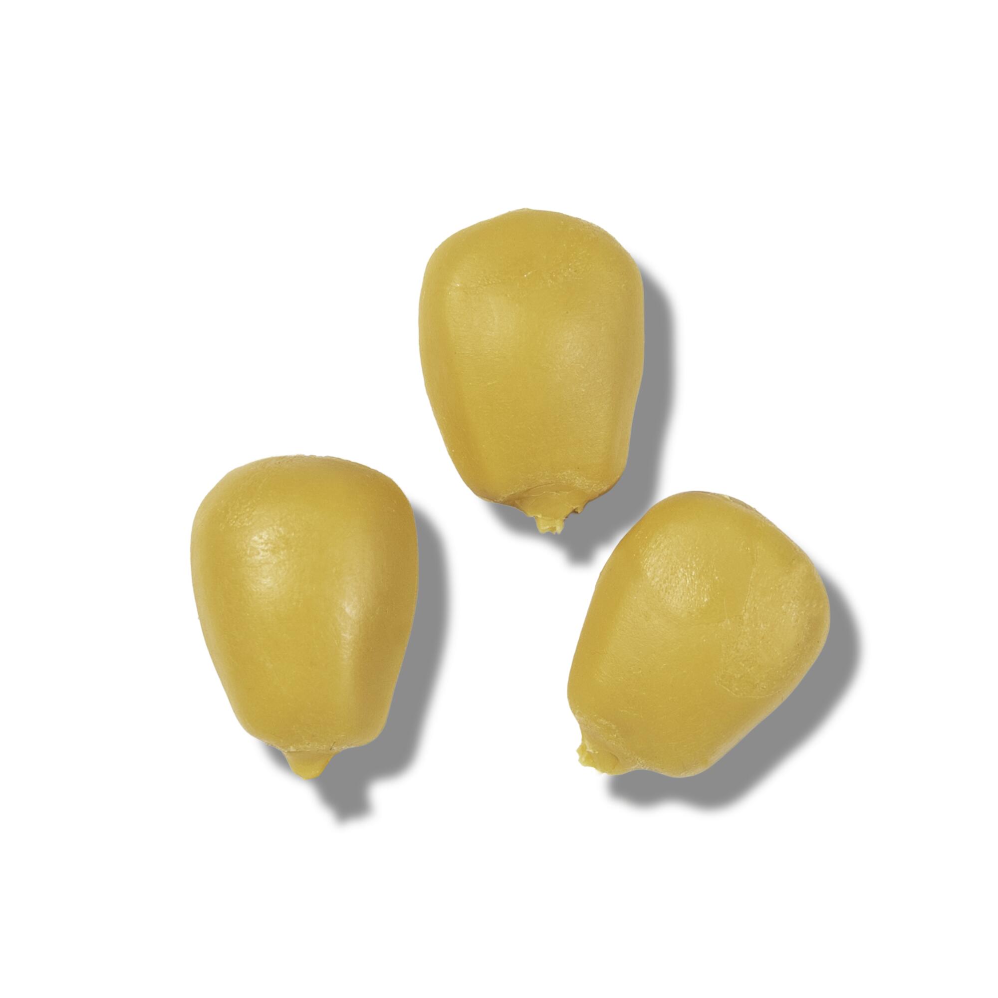 Esca finta pesca carpfishing Nash Floating Maize giallo x10 galleggiante 3/8