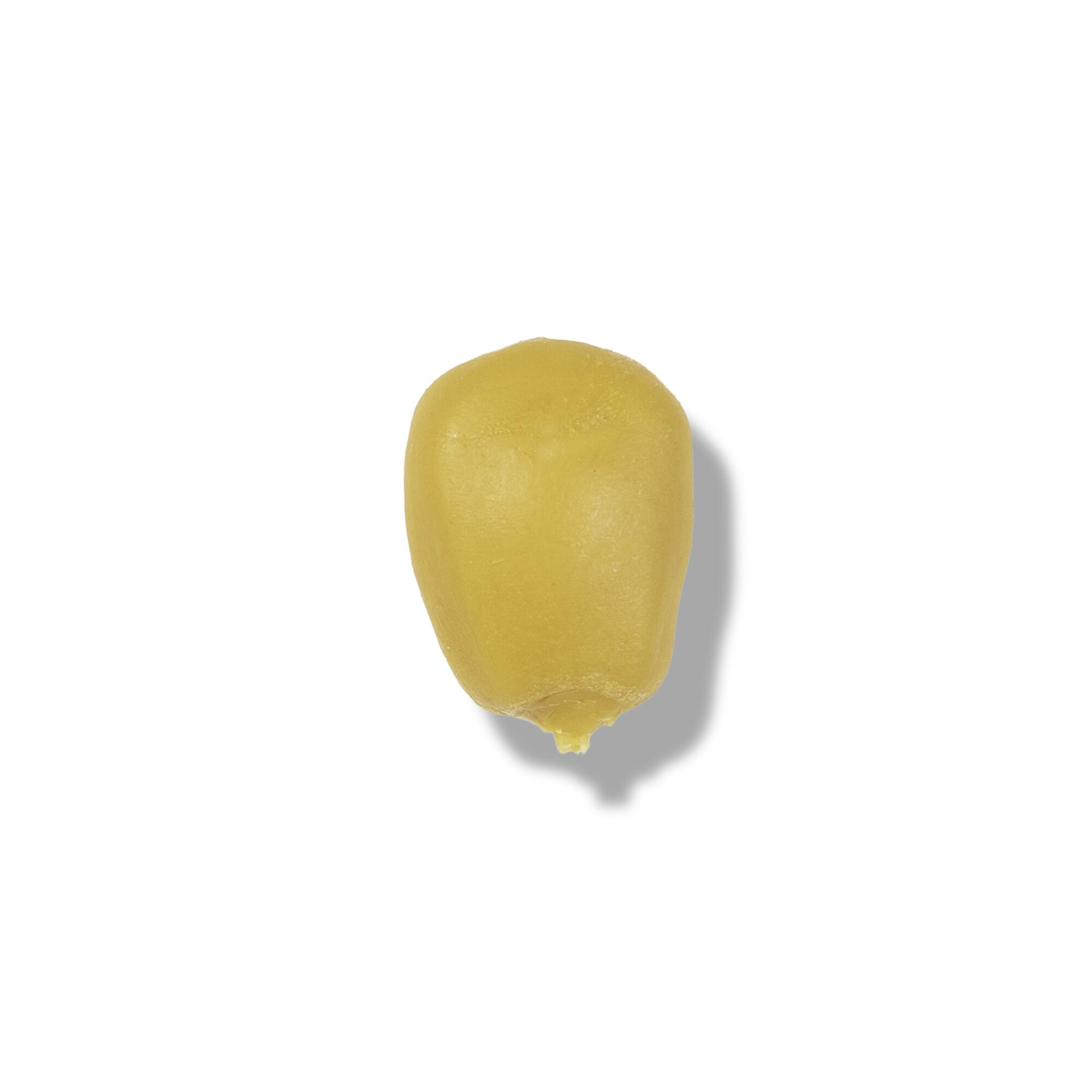 Esca finta pesca carpfishing Nash Floating Maize giallo x10 galleggiante 2/8