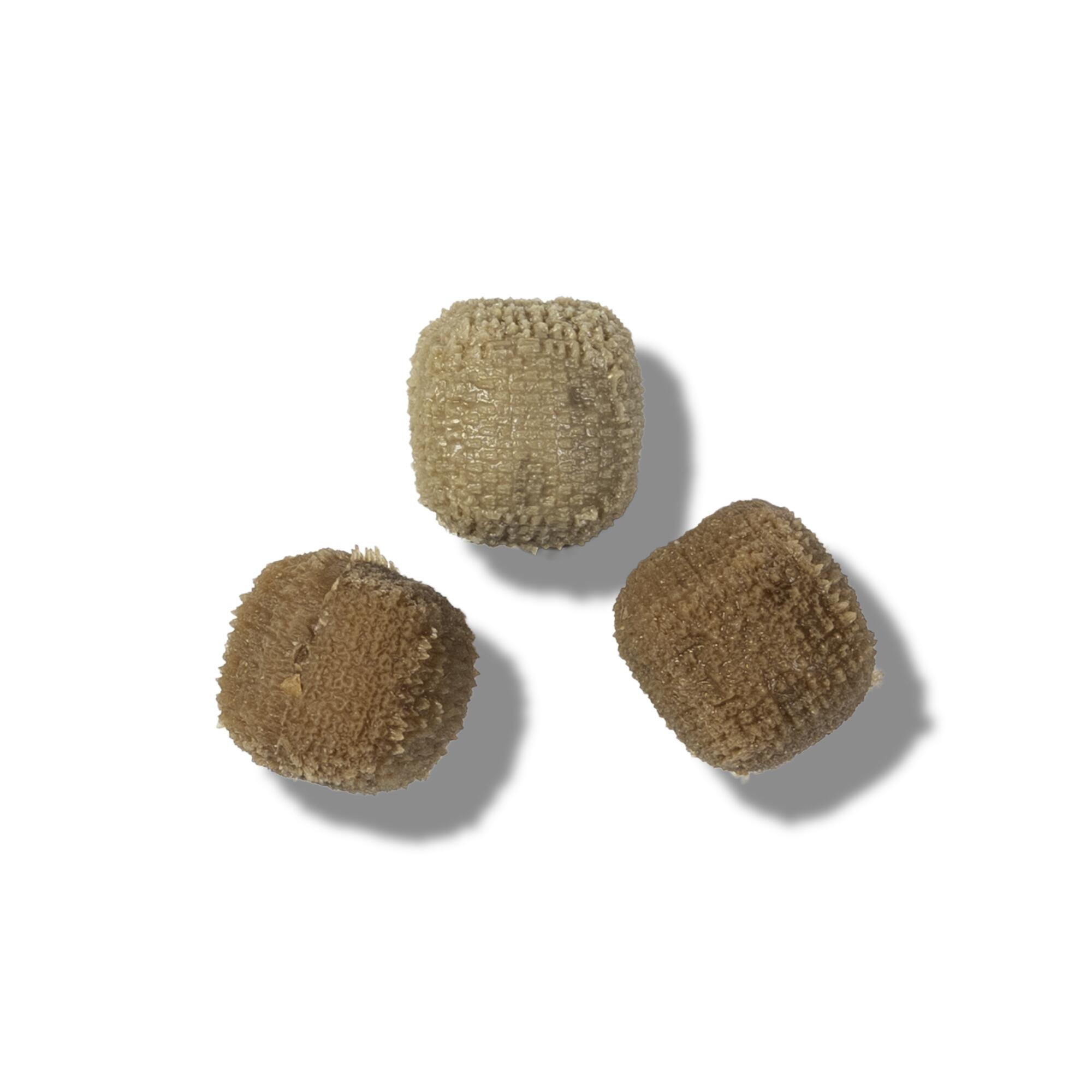 Esca finta pesca carpa Nash Floating Dog Biscuit marrone 13mm x6 galleggiante 3/6