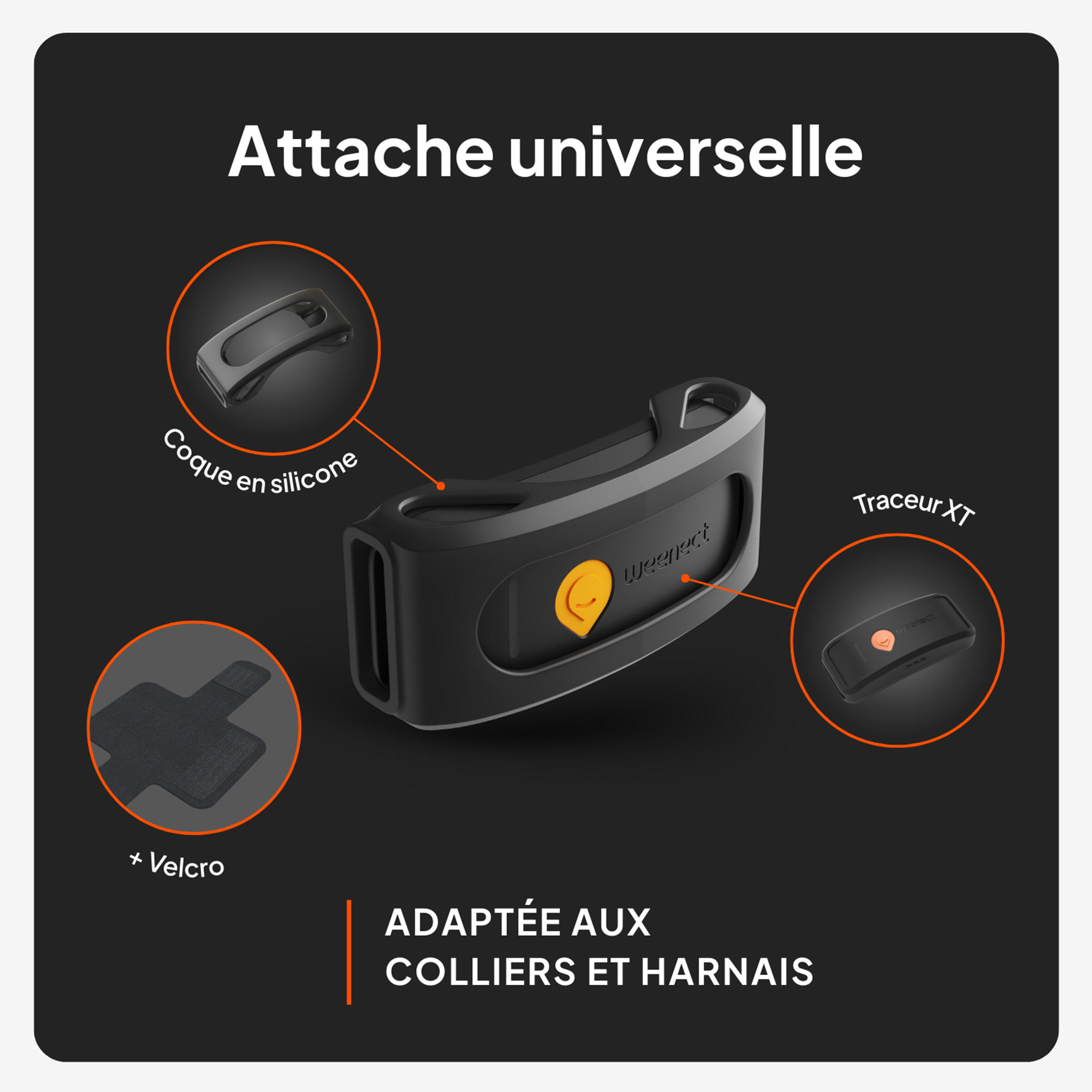 Traceur GPS pour chien XT sans collier 9/12