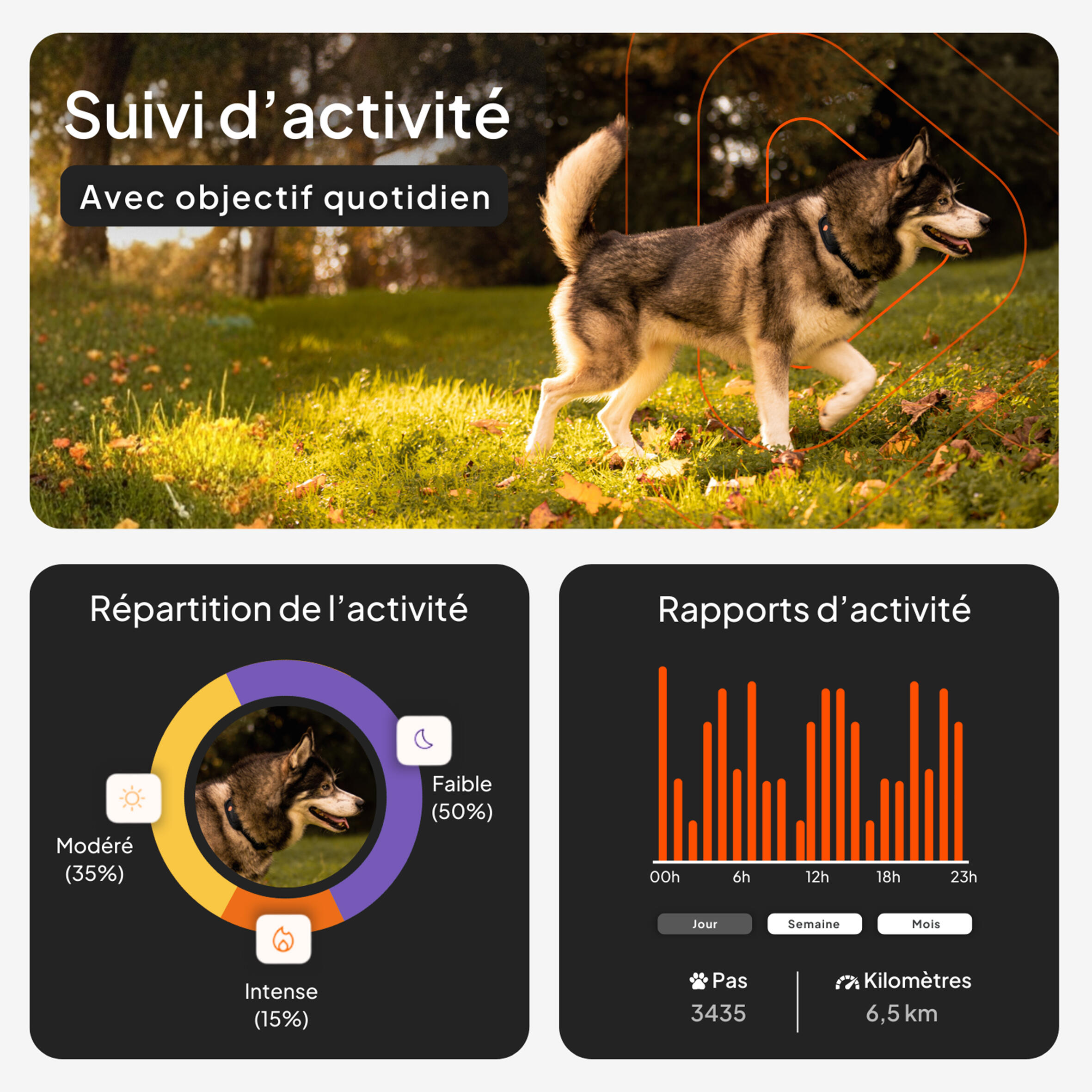 Traceur GPS pour chien XT sans collier 4/12