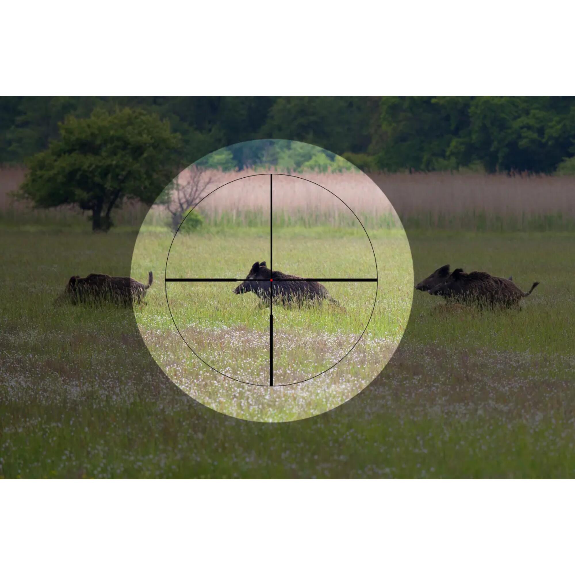 Visor Apex LT 1-6x24 A4 ALPEN OPTICS con Tecnología SmartDot 6/6