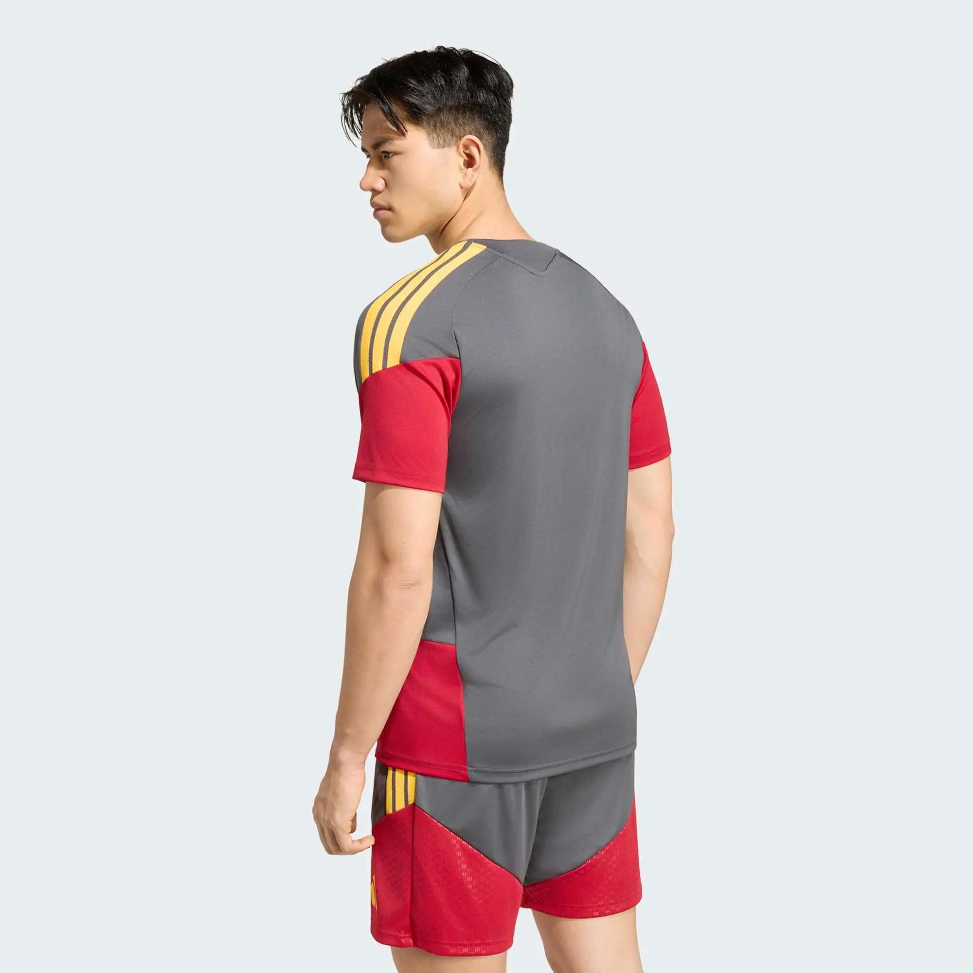 Camisola de Treino de Futebol Adulto AS Roma 26/27 4/7