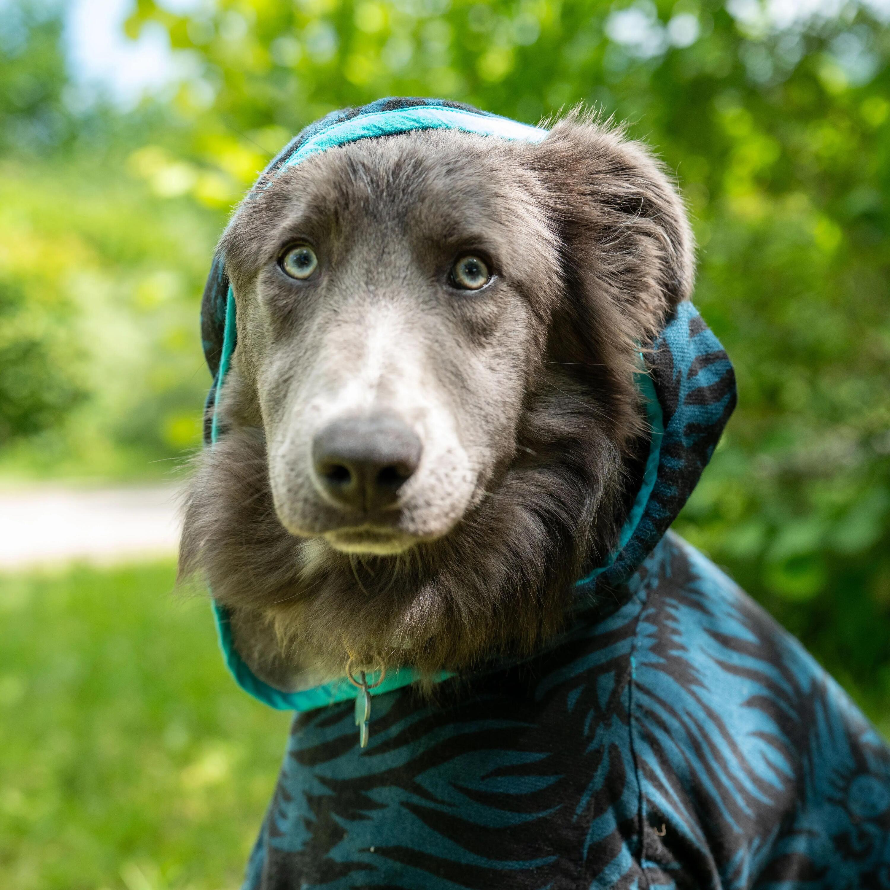 DOG TOWEL ROBE - BLACK WITH BLUE PATTERNS 7/9