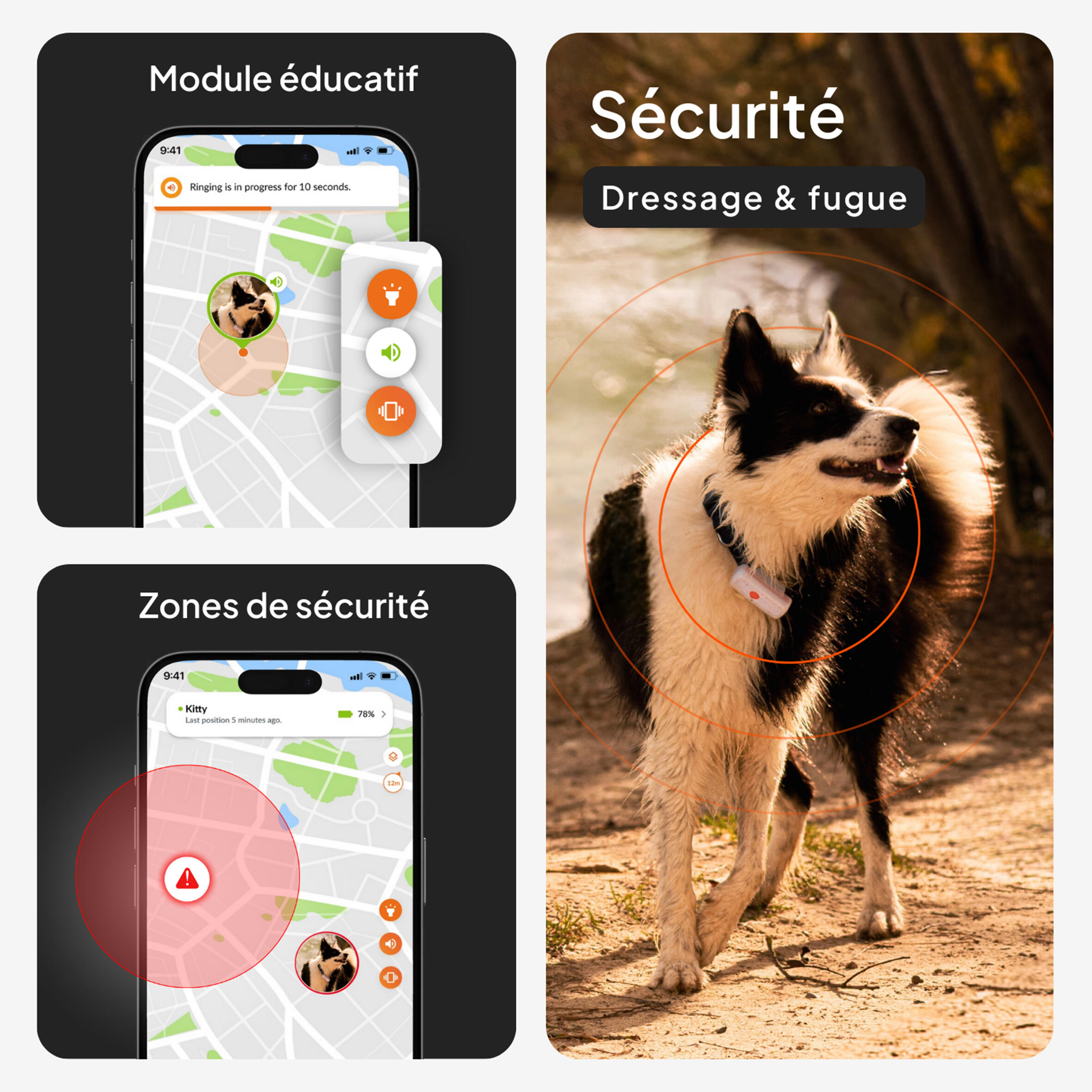 Collare cane GPS WEENECT V2  4/10