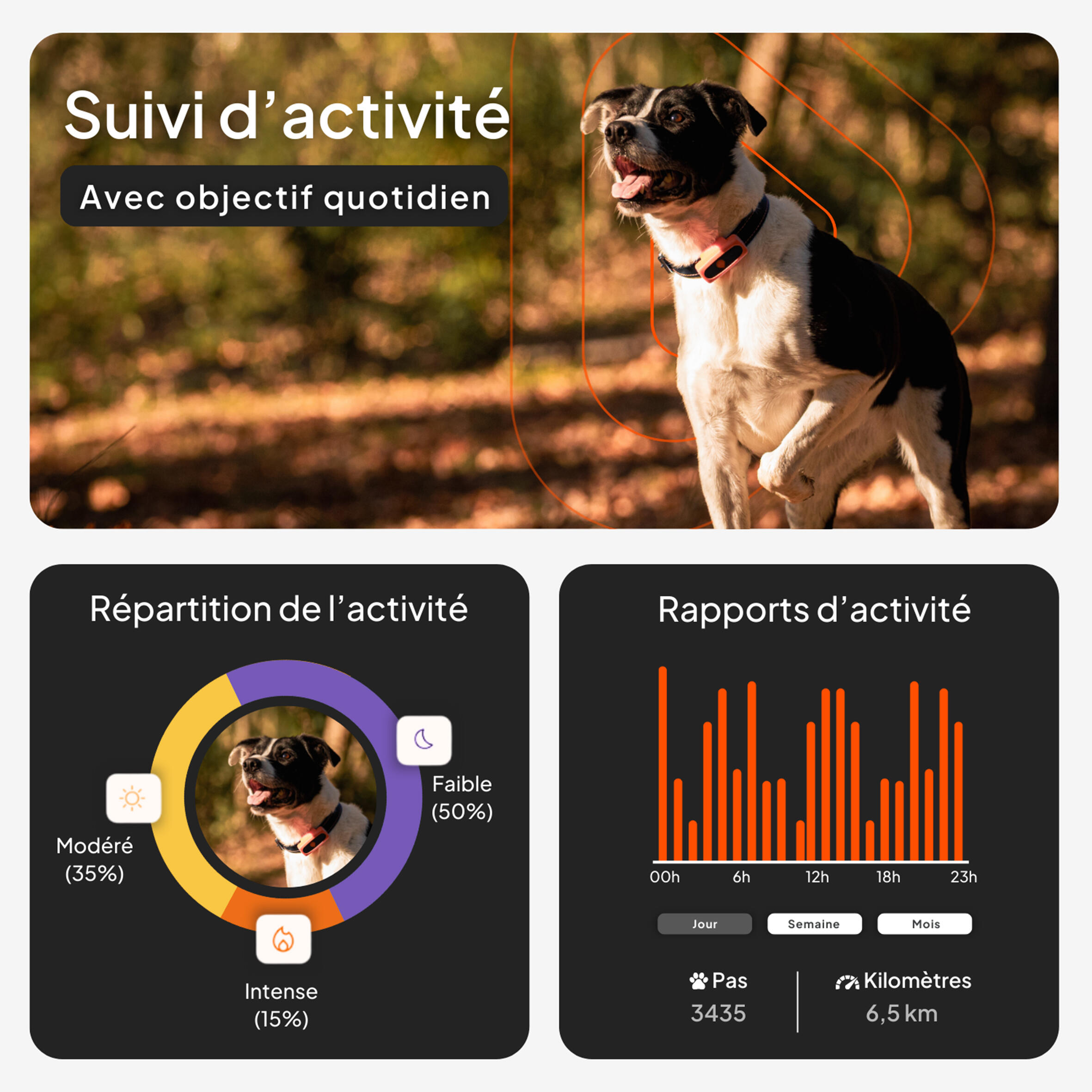 Collare cane GPS WEENECT V2  3/10
