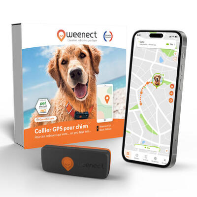 Collare cane GPS WEENECT V2