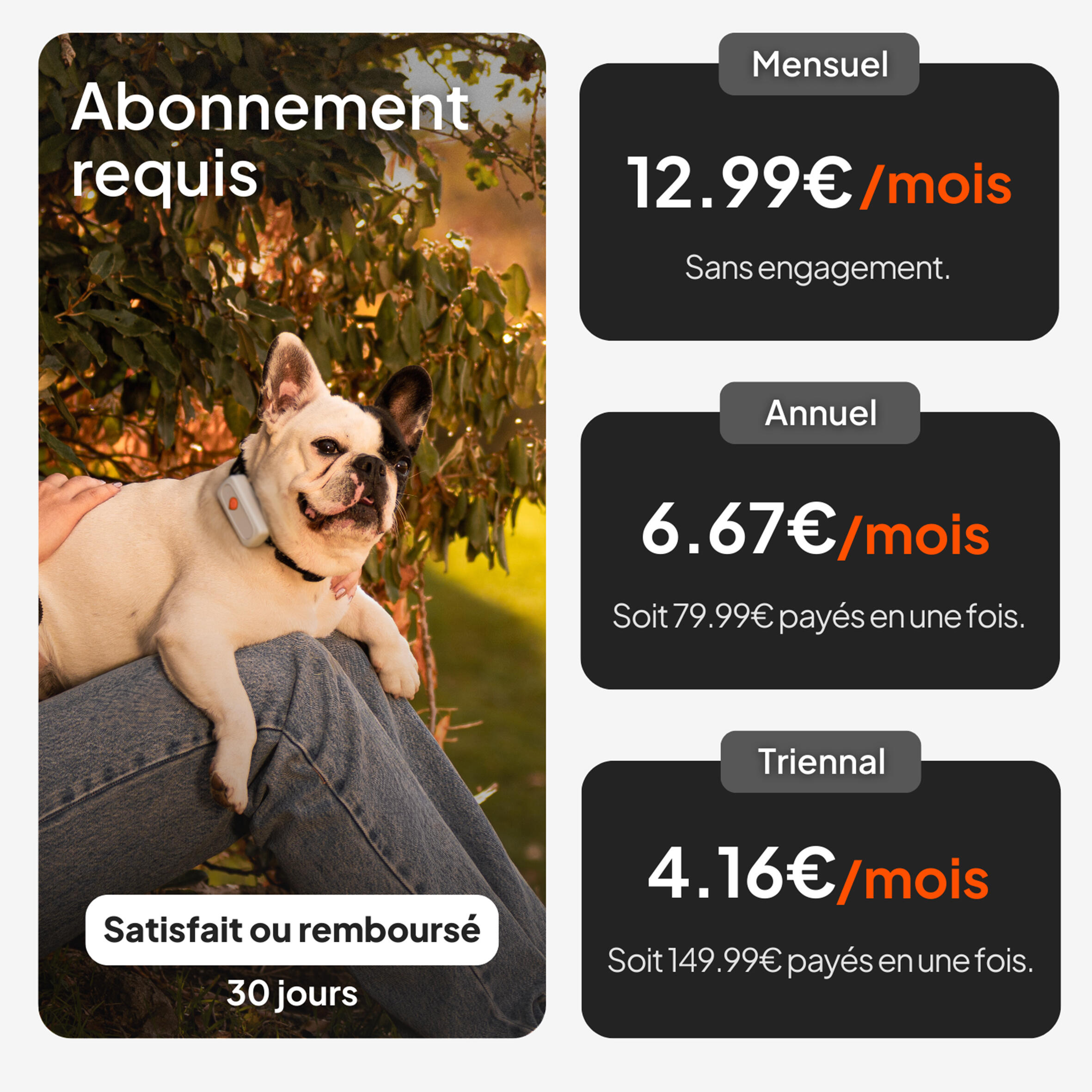 Collare cane GPS WEENECT V2  5/10