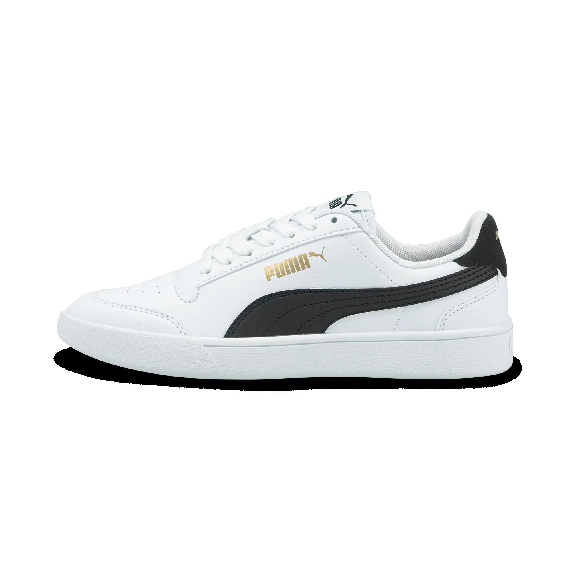 PUMA picture