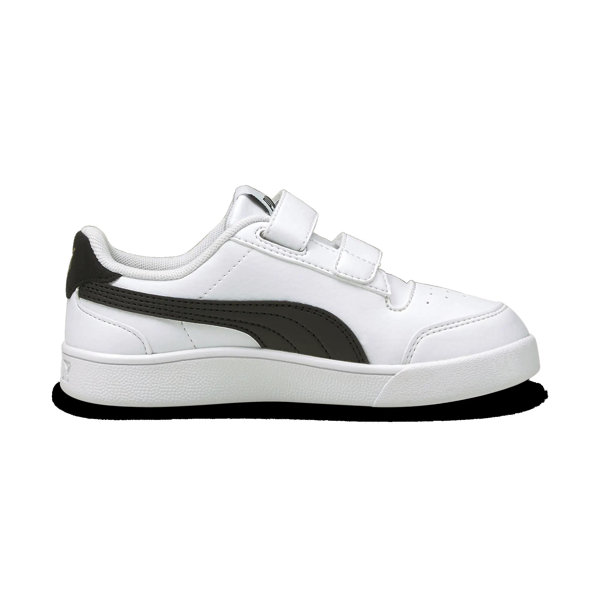PUMA picture