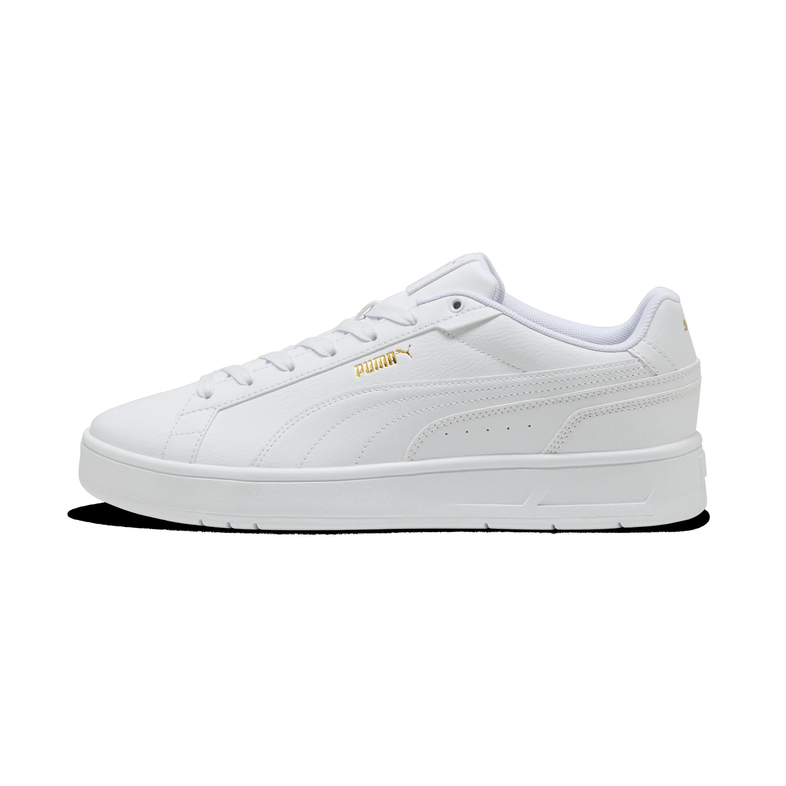 PUMA picture