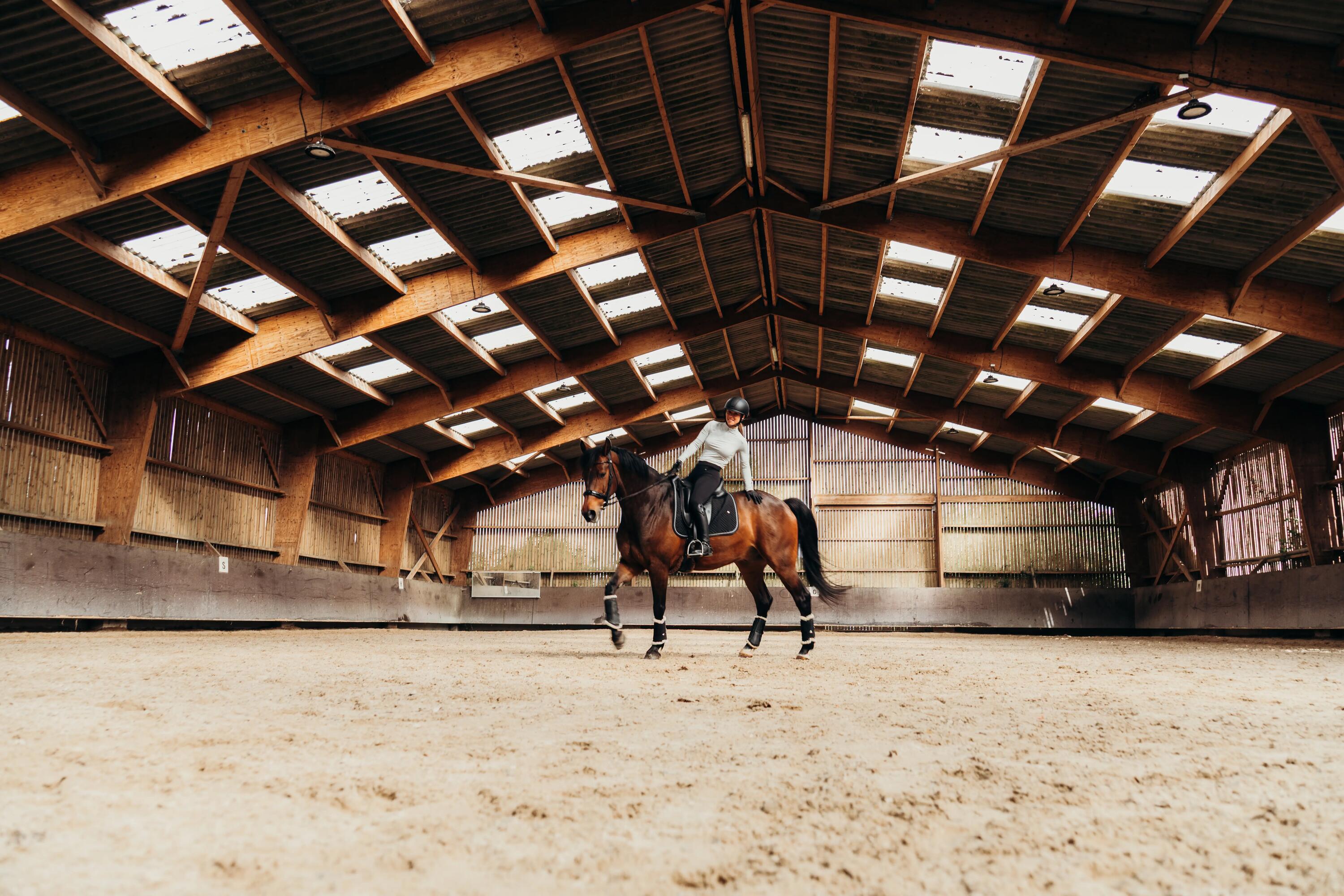 Frau auf dem Pferd in der Reithalle. Pferd springt gerade einen gallopwechsel beim Zirkelpunkt