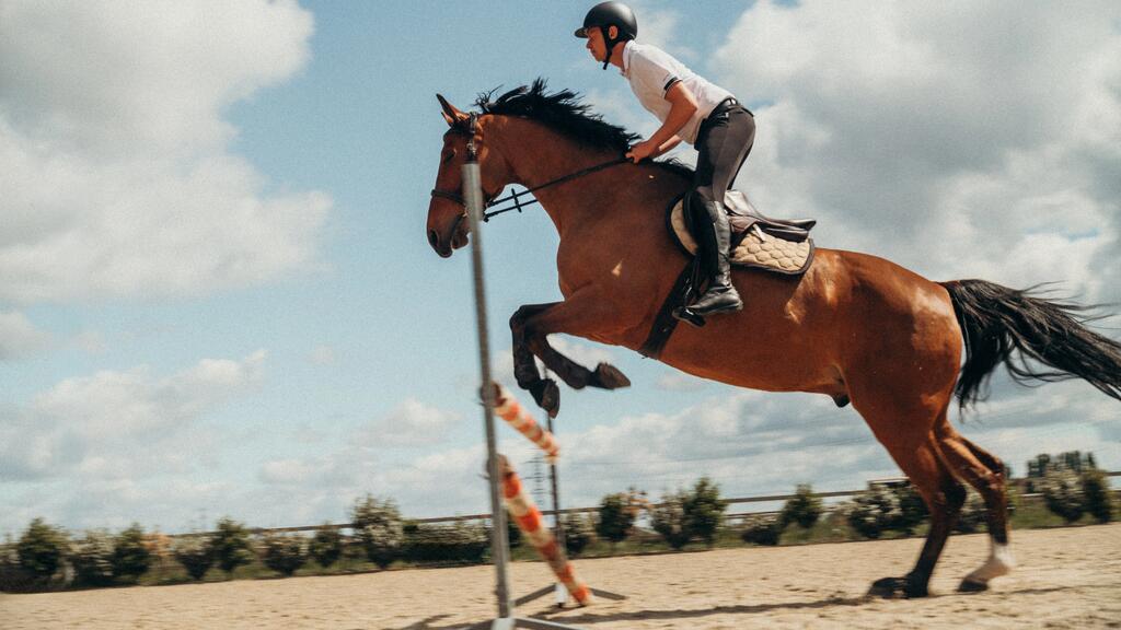 Horse Riding