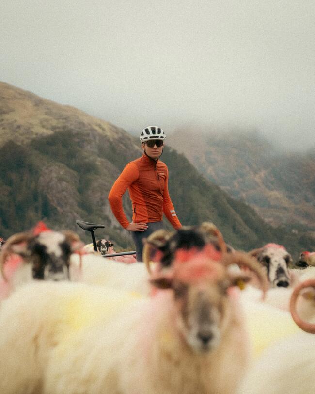 vélo route