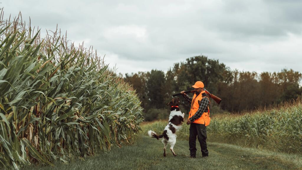 EIn Jäger mit Warnweste steht am Maisfeld mit seinem Hund