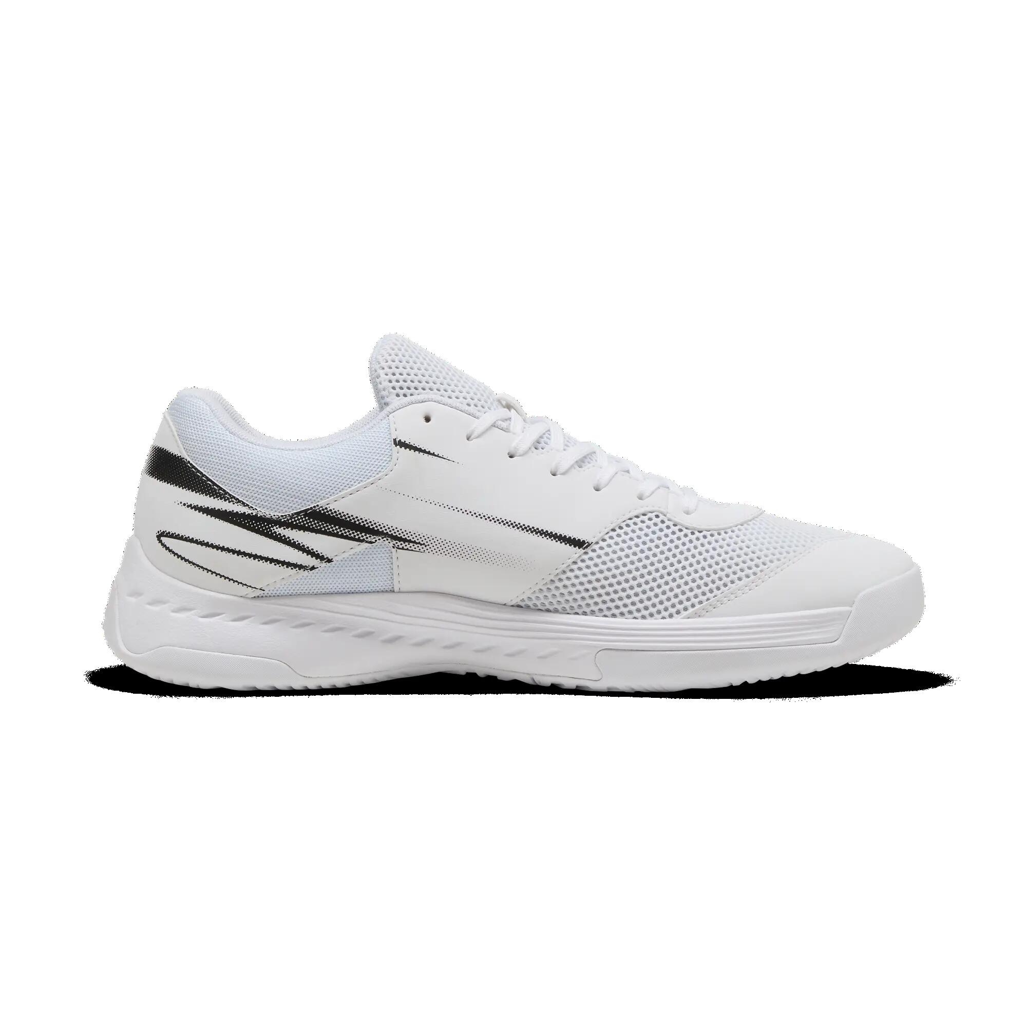 PUMA picture