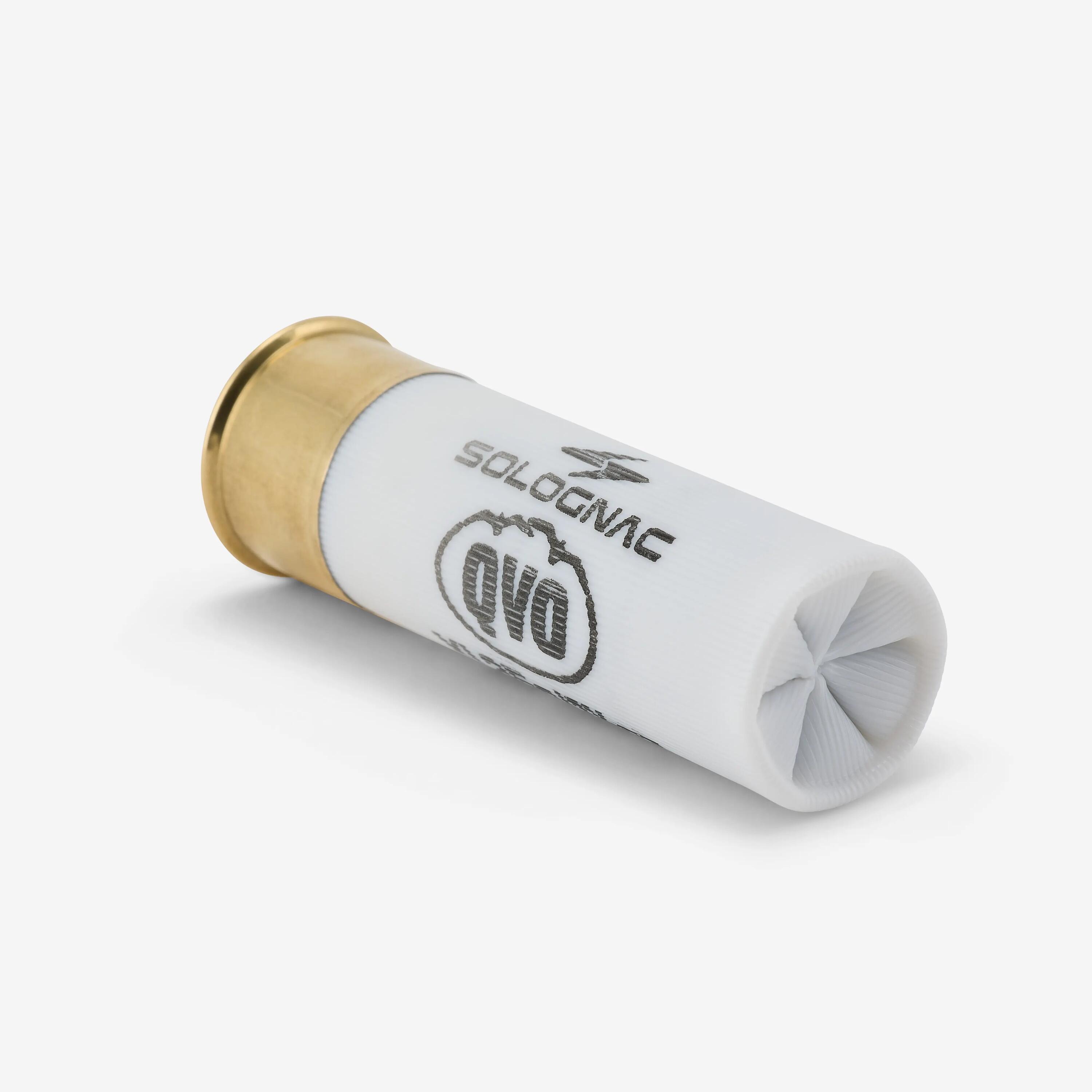 Cartouche xl100 35g iw acier n°2 x25 3/8